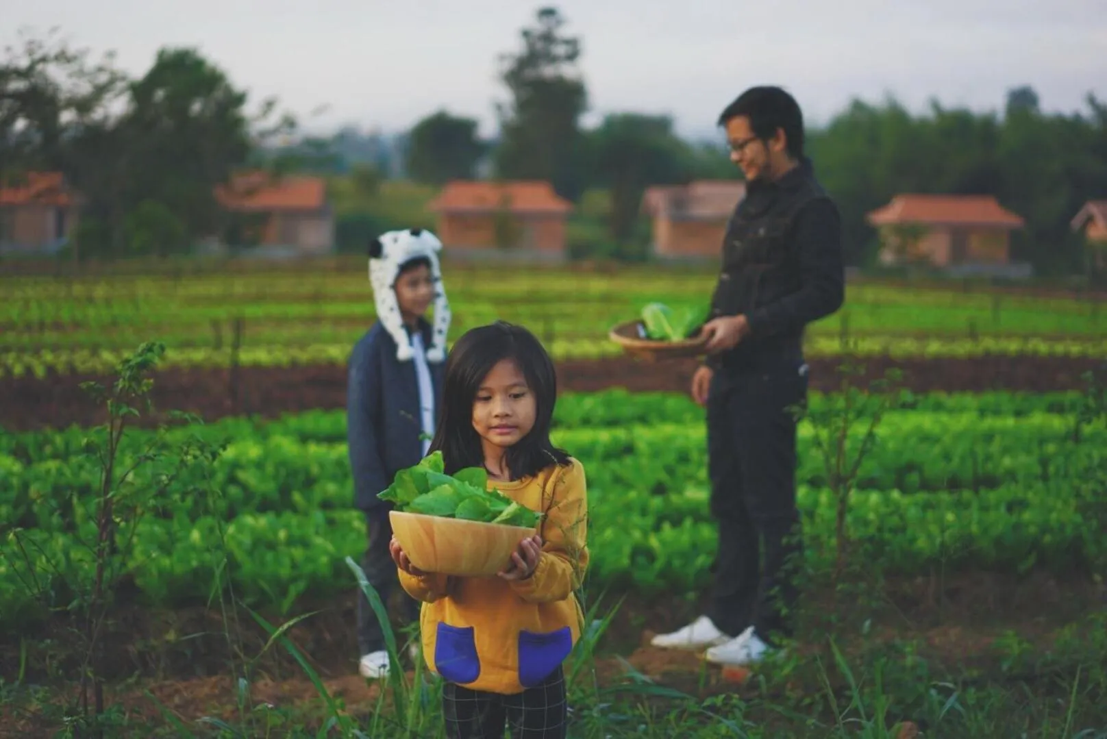 Garden in COOLLiving Farmhouse Organic