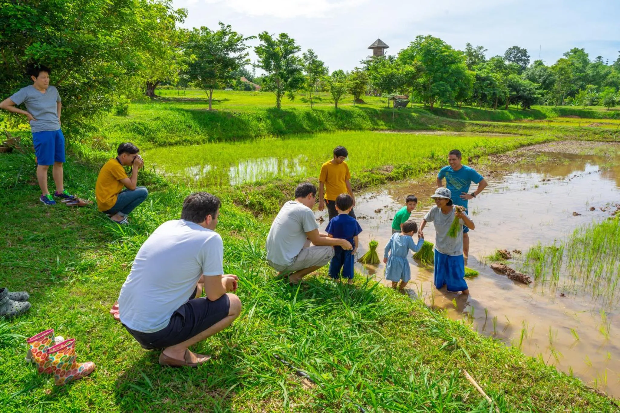 Activities in COOLLiving Farmhouse Organic