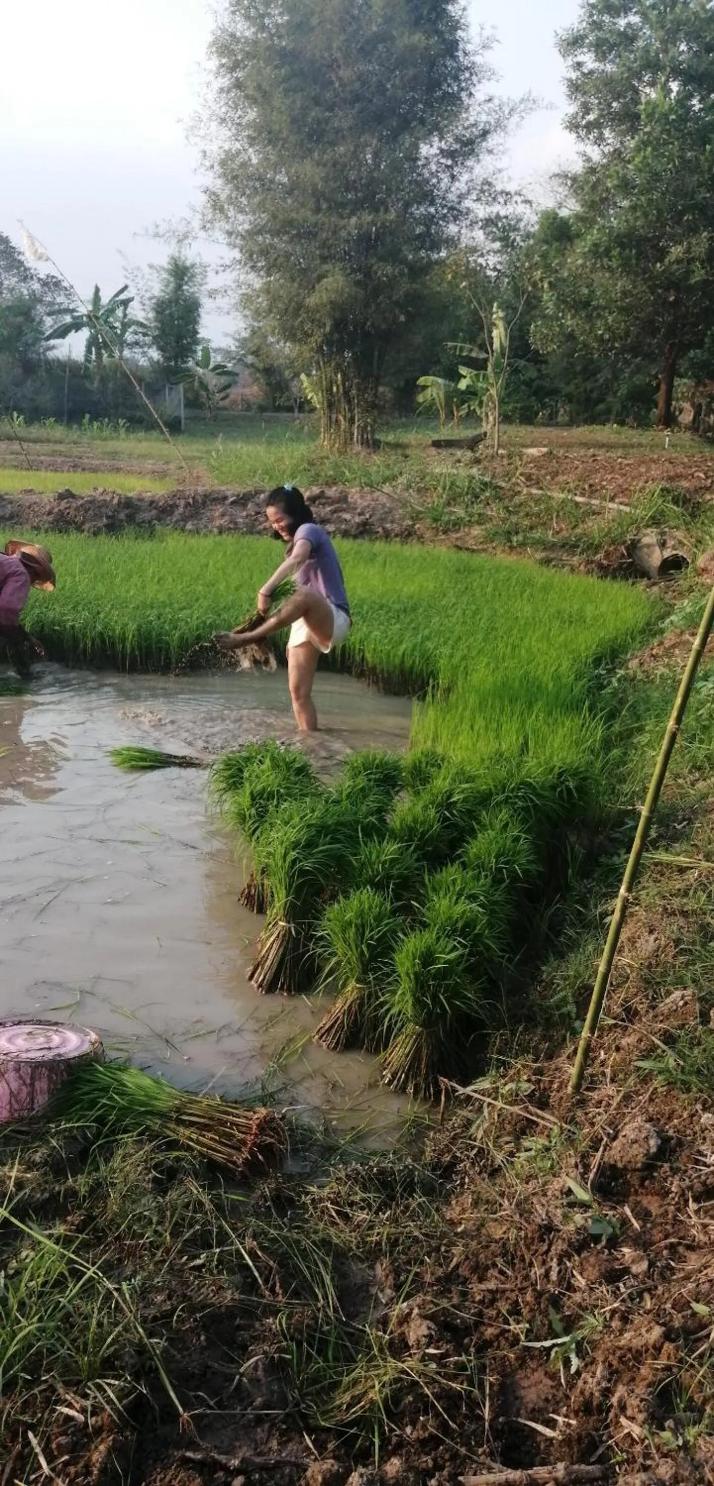 People in COOLLiving Farmhouse Organic