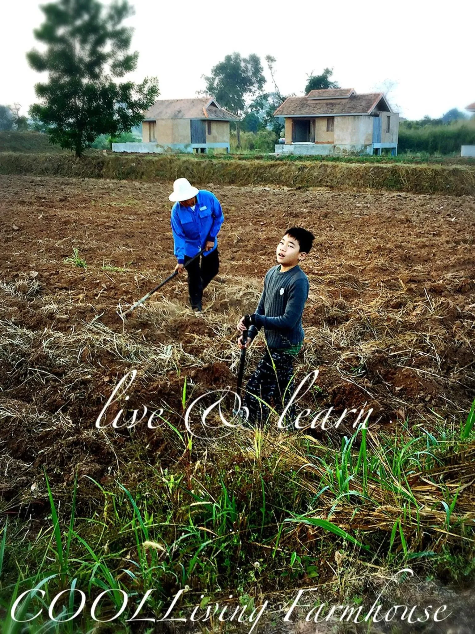 Activities in COOLLiving Farmhouse Organic