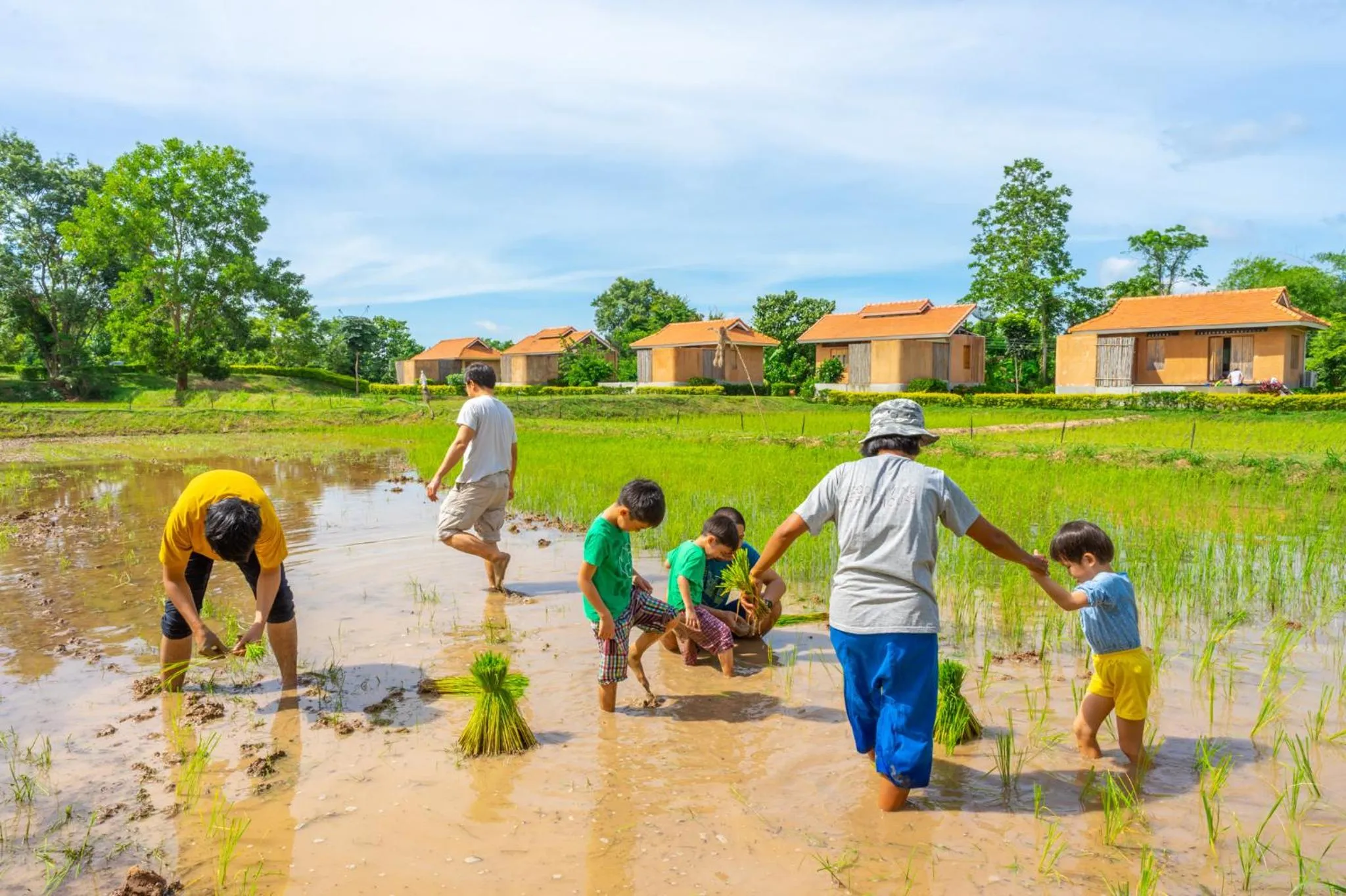 Activities in COOLLiving Farmhouse Organic