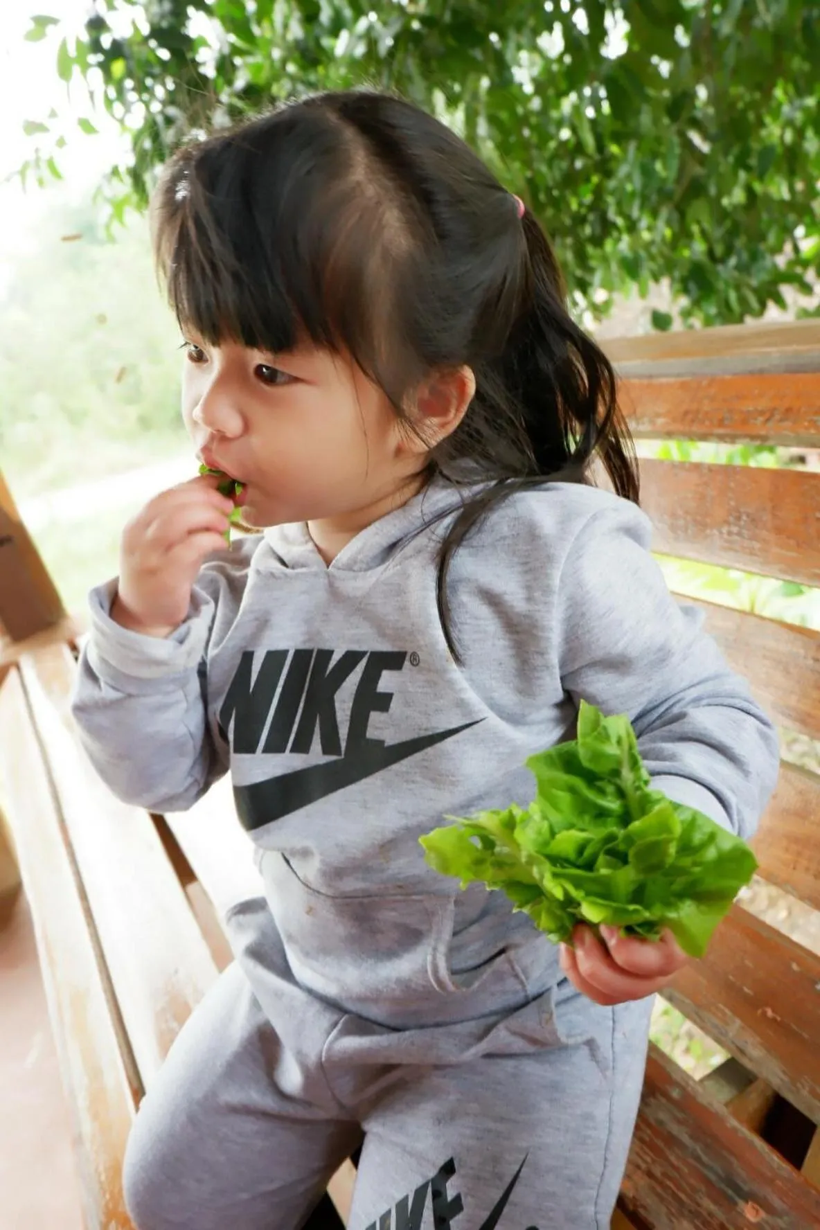 Activities in COOLLiving Farmhouse Organic