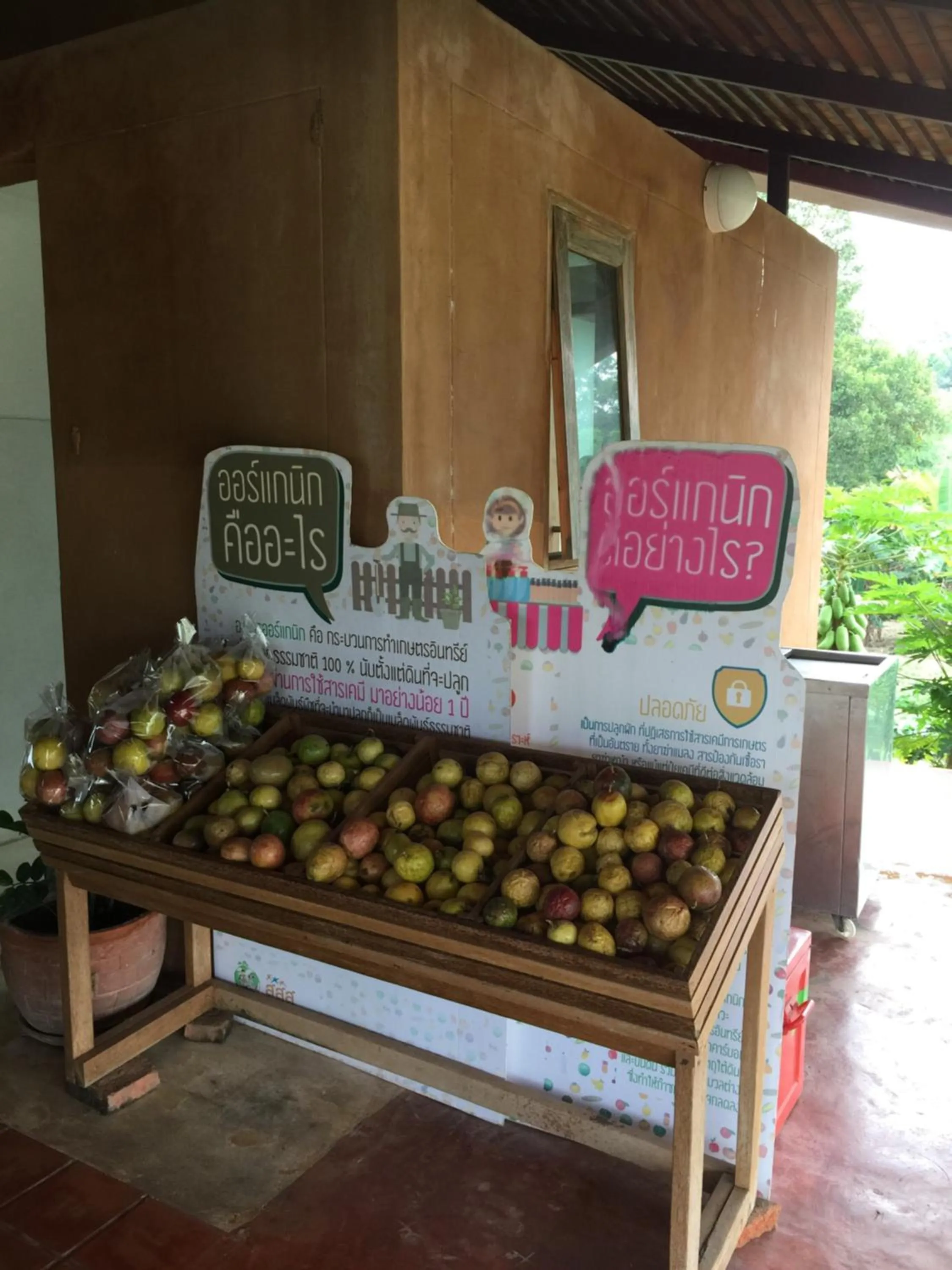 Communal lounge/ TV room in COOLLiving Farmhouse Organic
