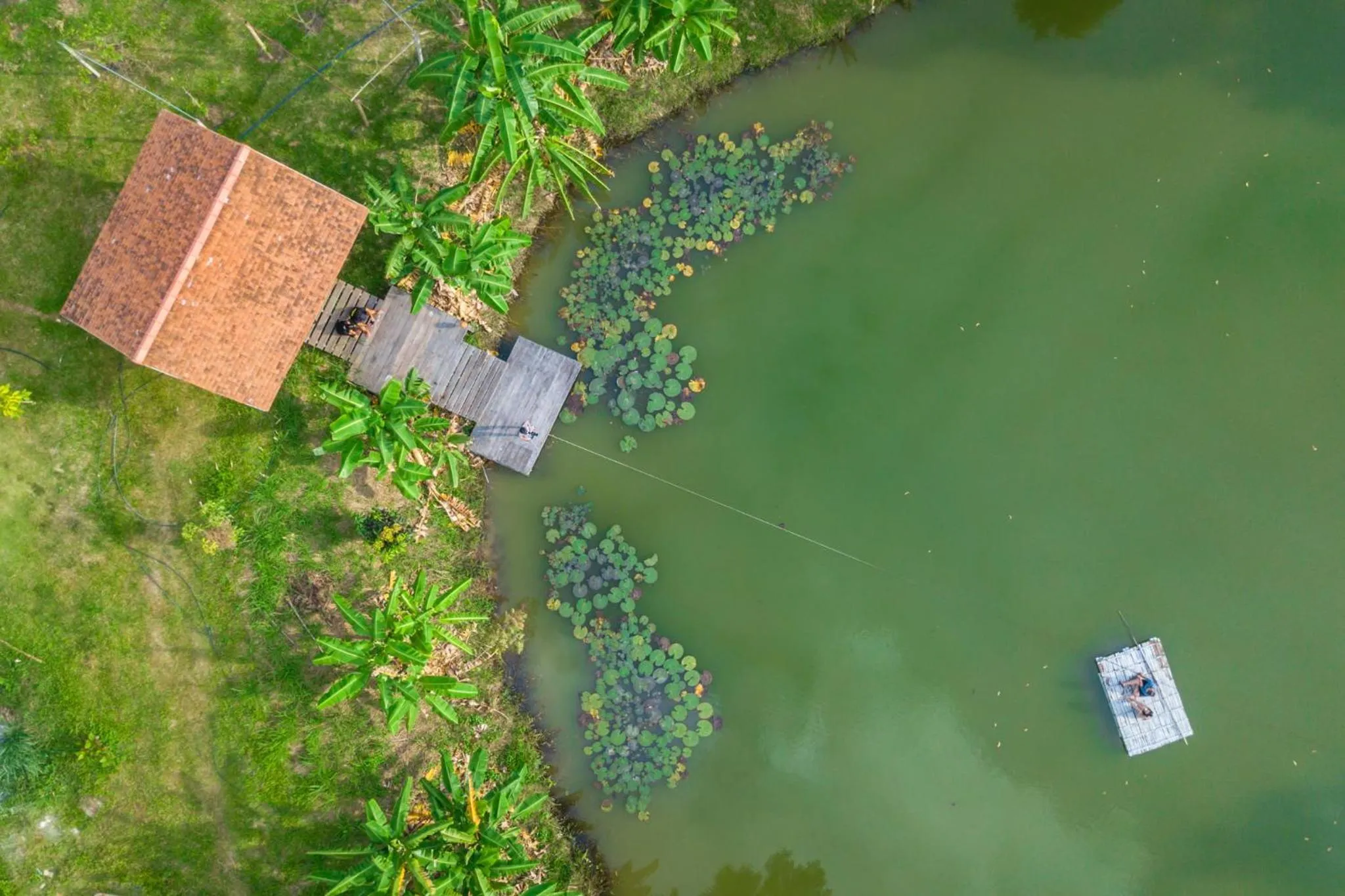 COOLLiving Farmhouse Organic