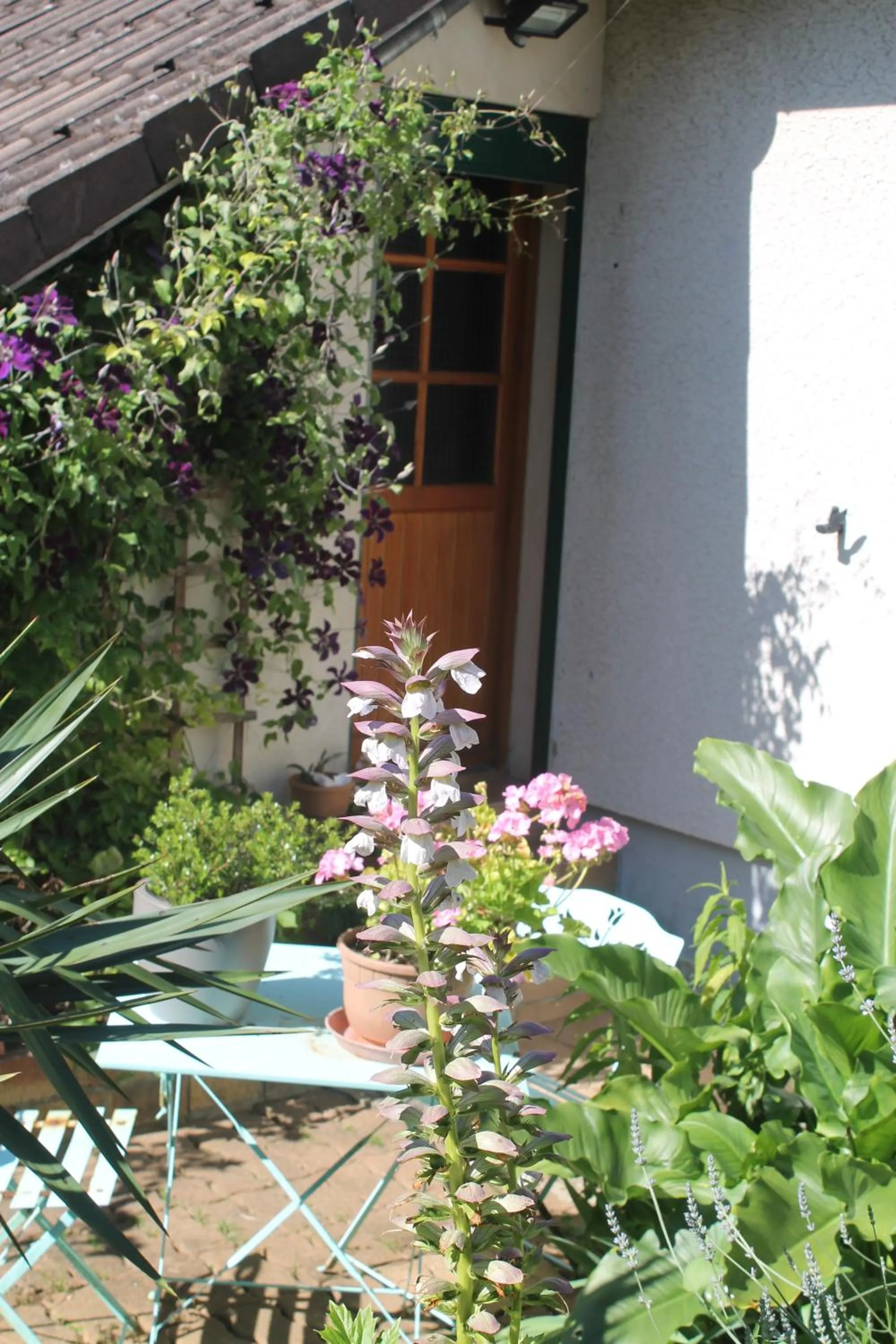 Chambre d'Hôtes "Orchidees"