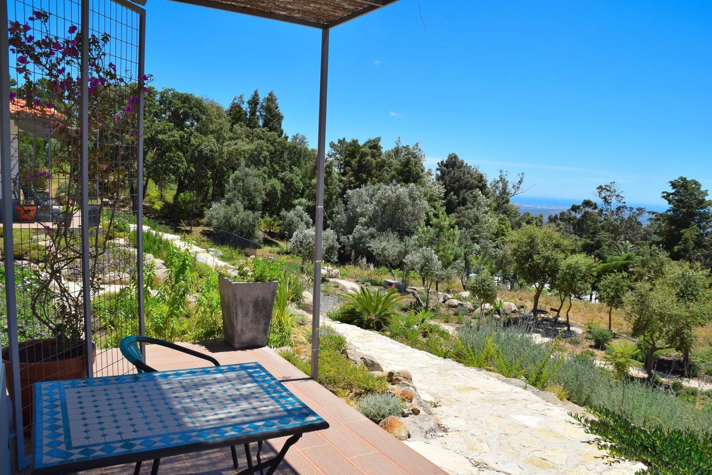 Garden in Pirilampo