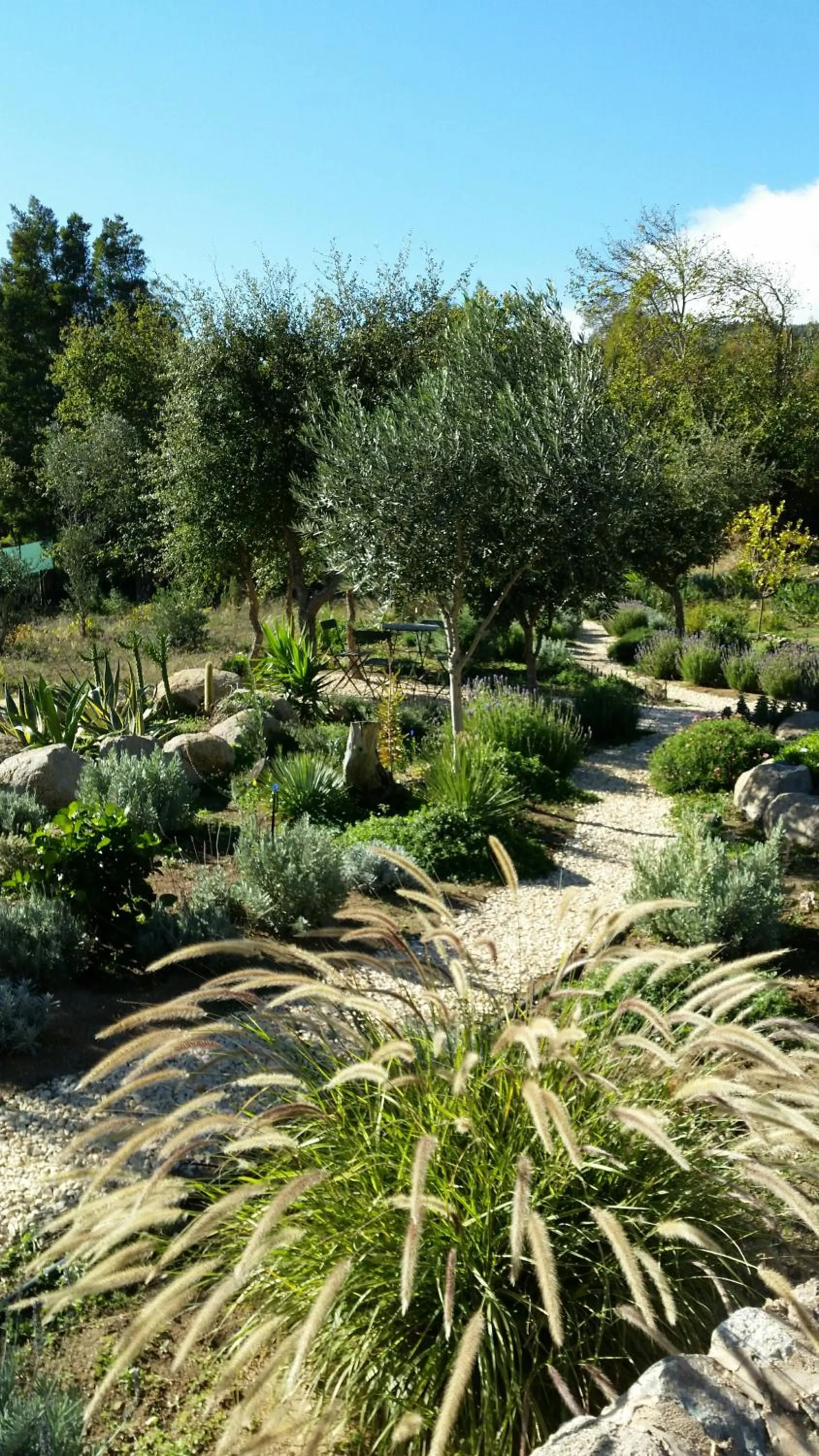 Garden in Pirilampo