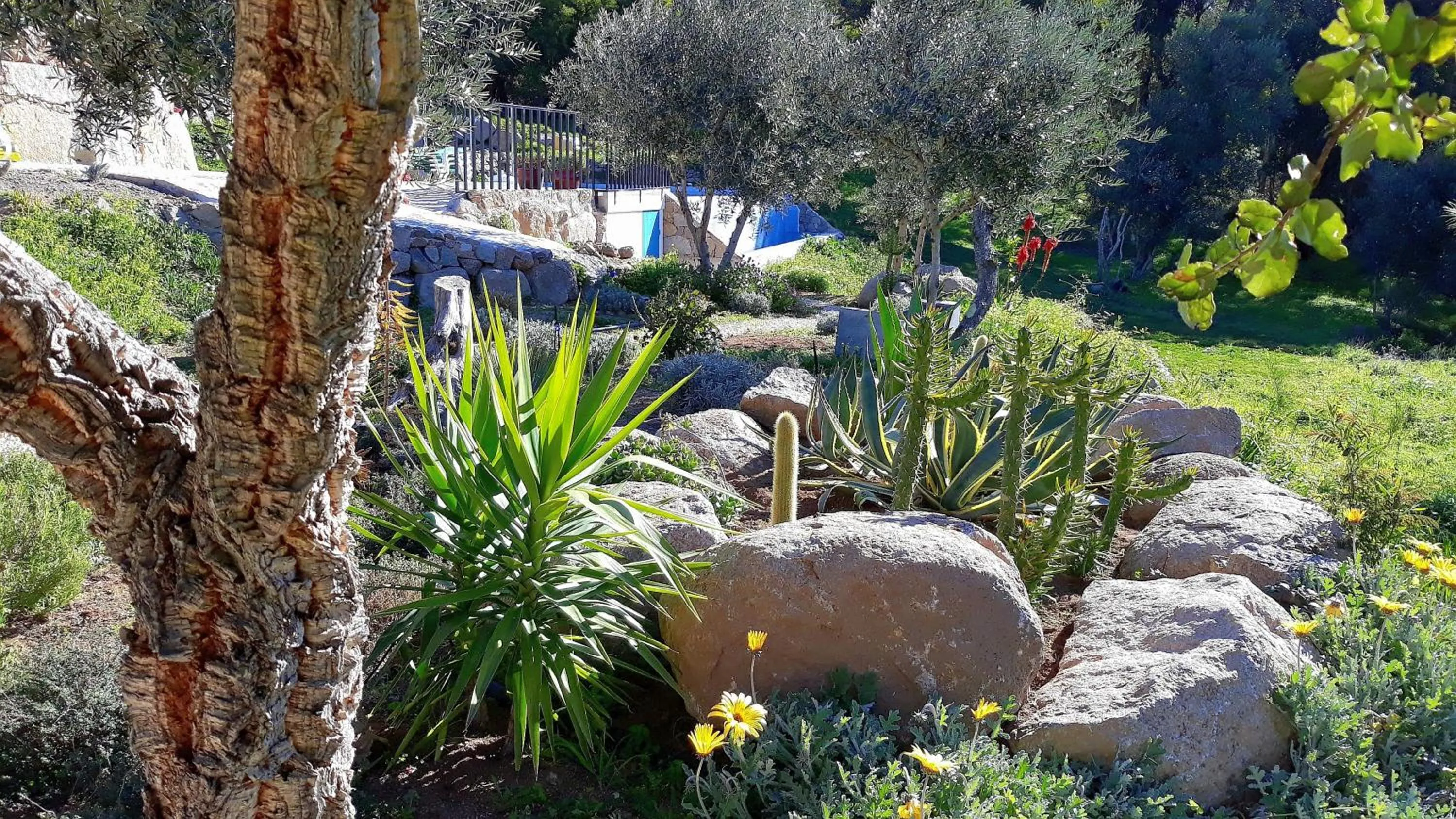 Garden in Pirilampo