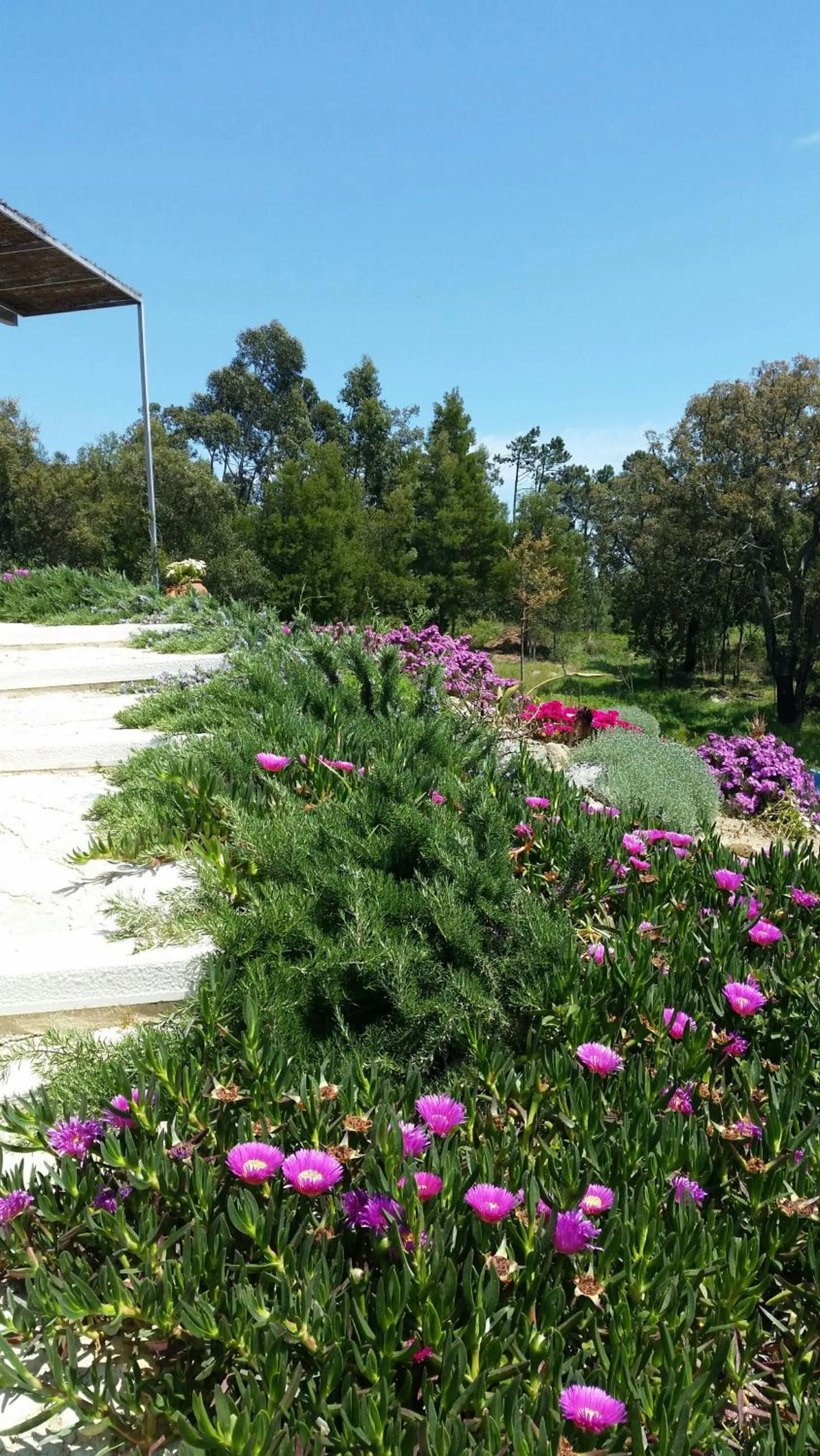 Garden in Pirilampo