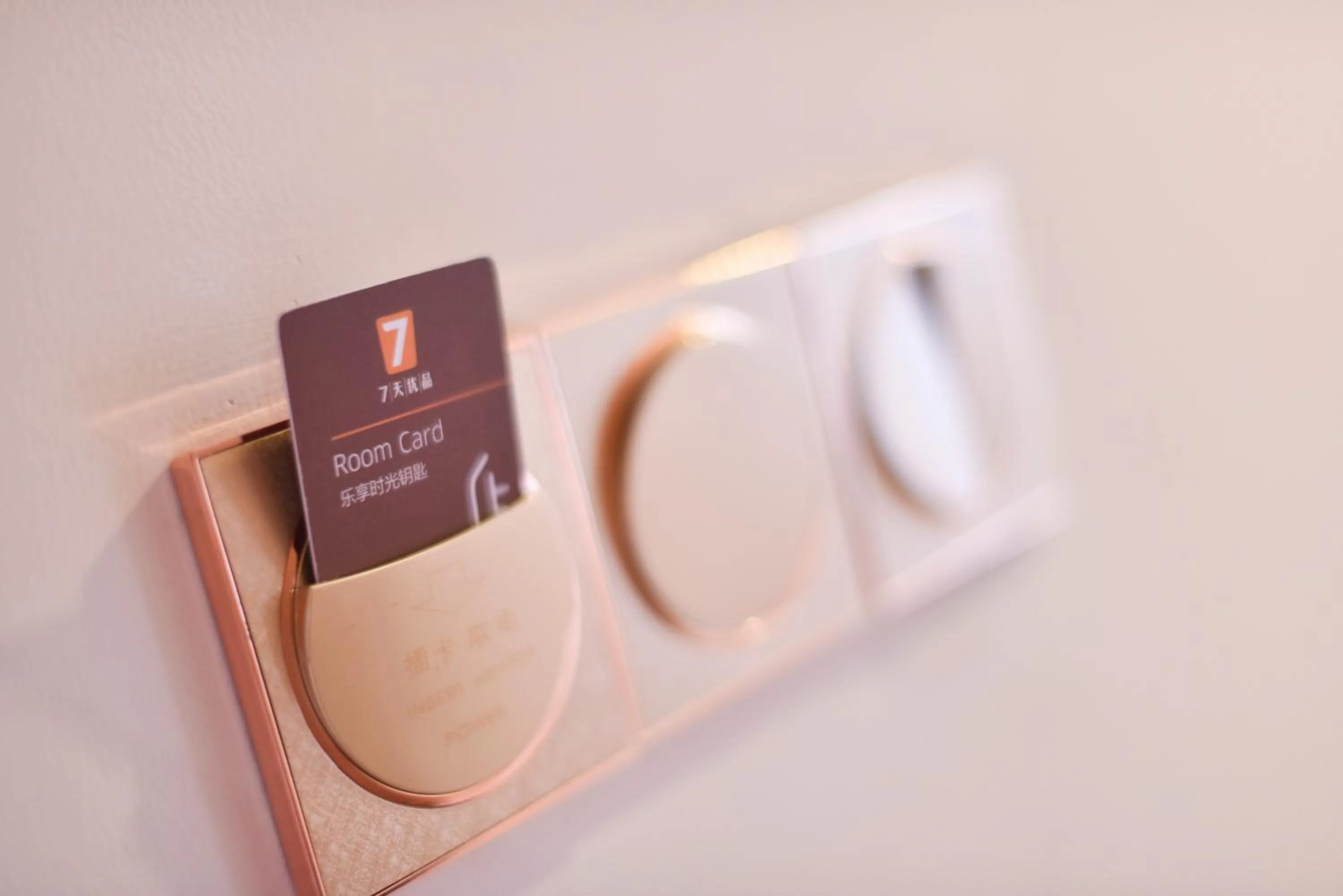 7Days Premium Shanghai Wild Animal Park