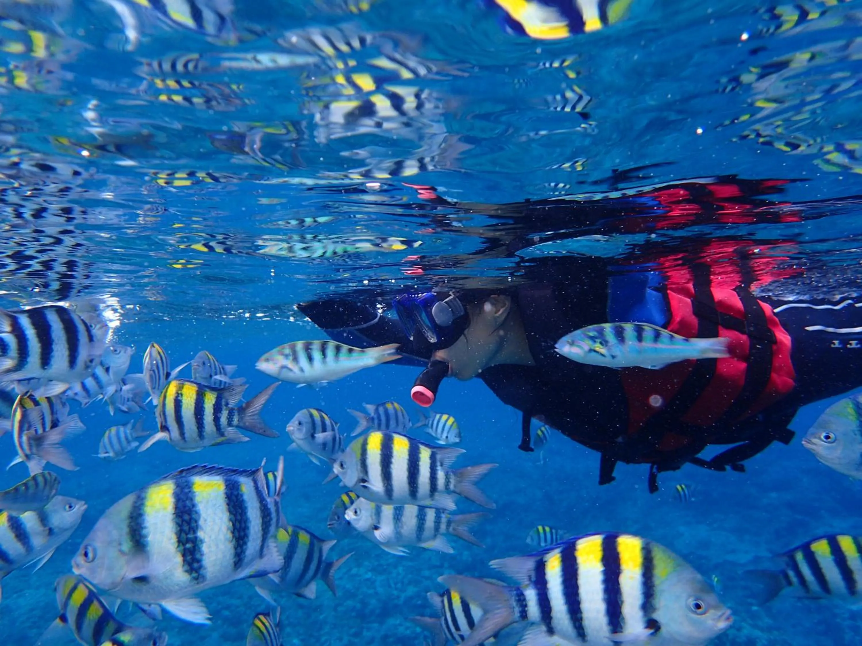 Good Viewing Spot B&B