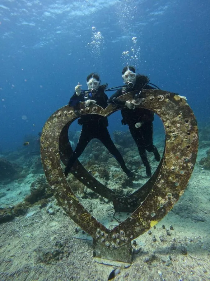 Good Viewing Spot B&B