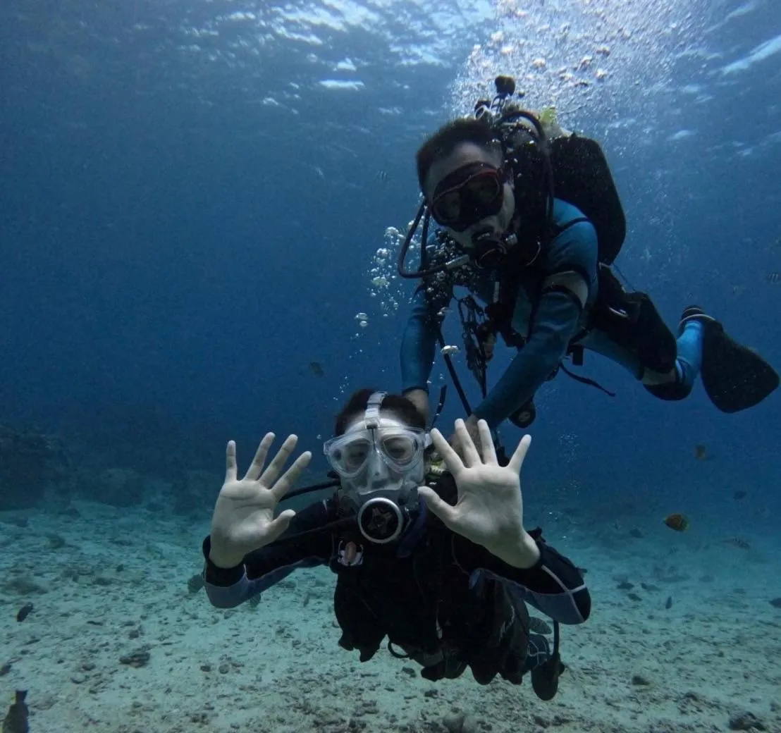 Good Viewing Spot B&B