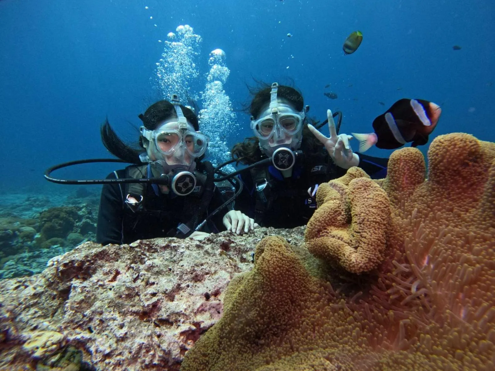 Good Viewing Spot B&B