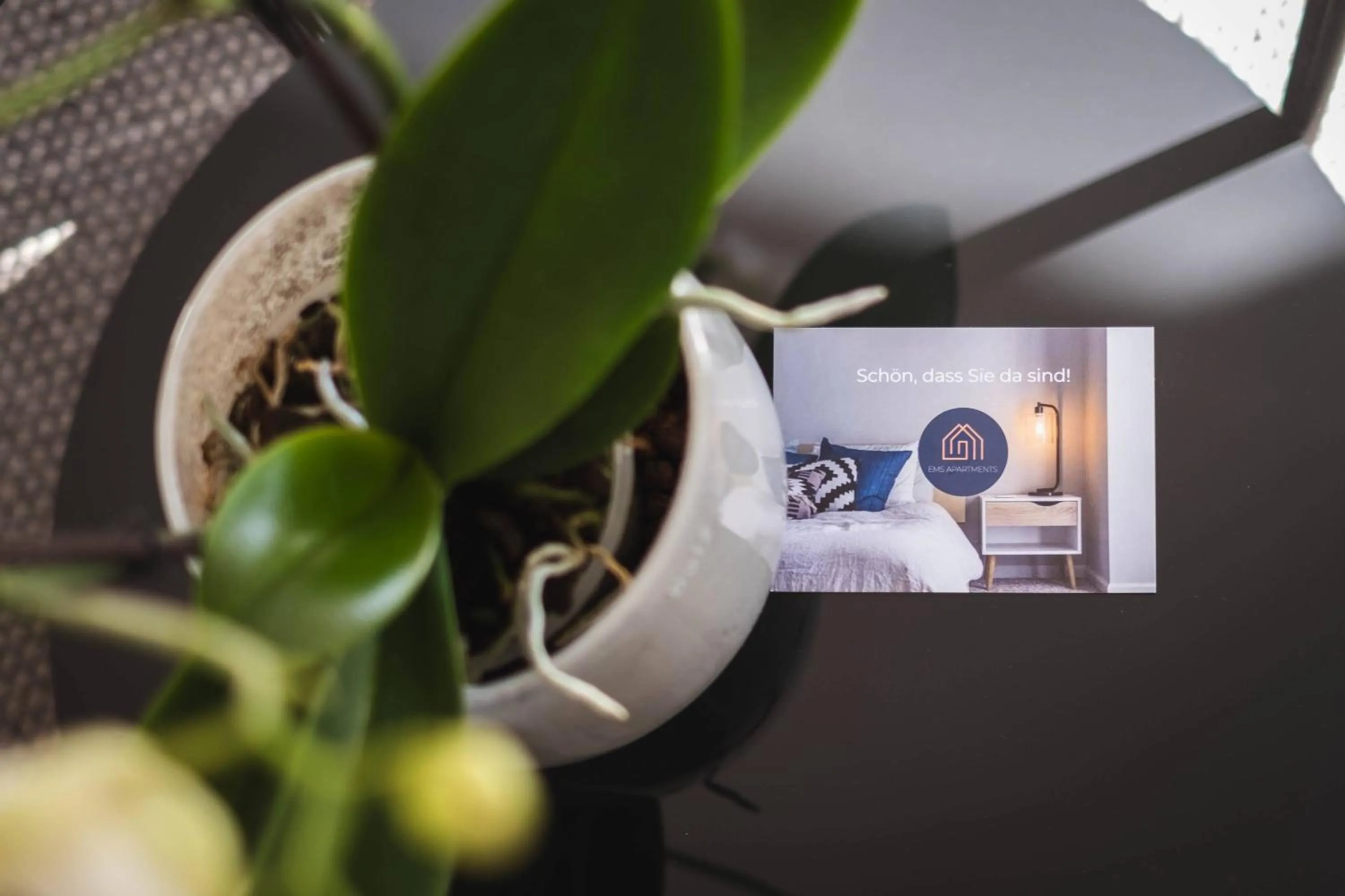 Decorative detail in Appartements an der Therme