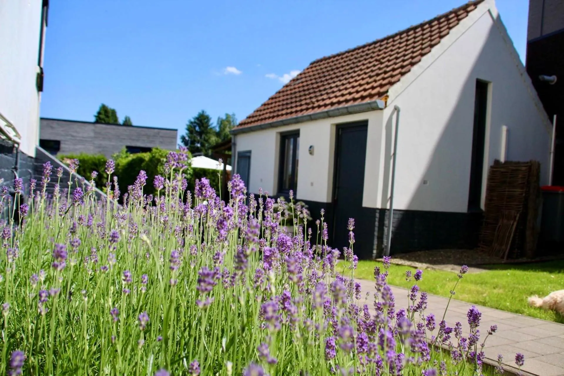 Belle Chique - Maastricht