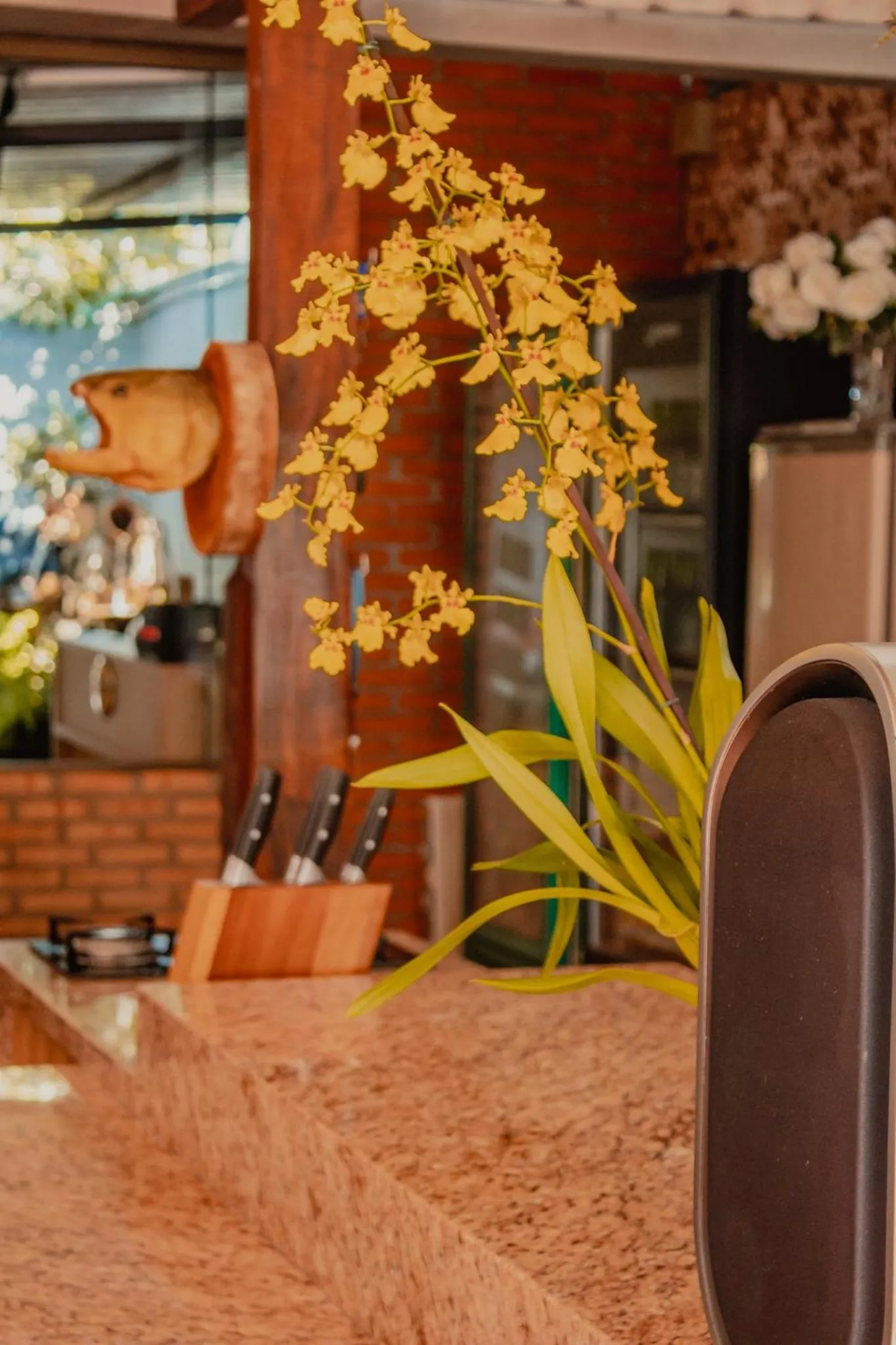 Other in Pousada Nanai