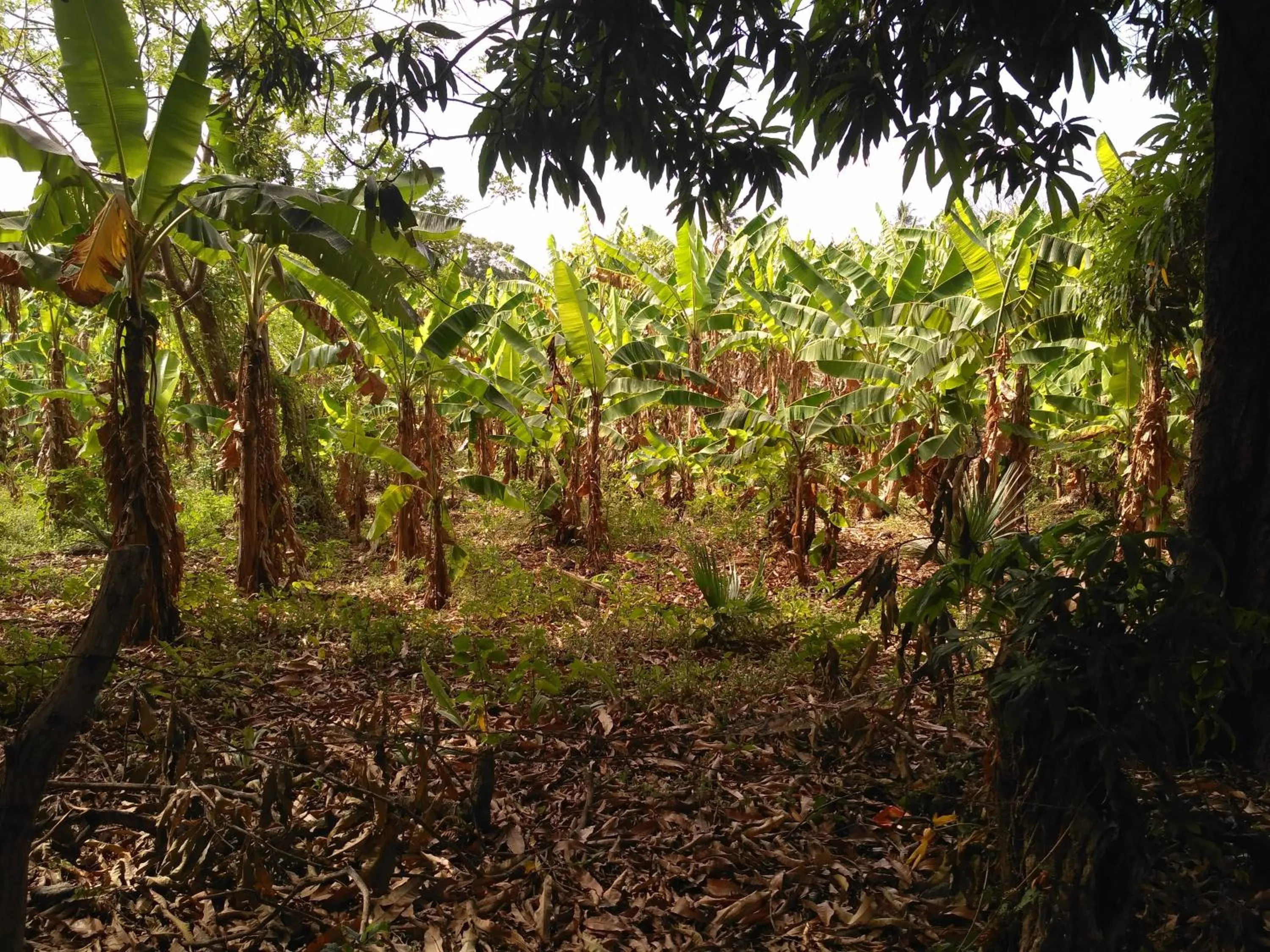 Natural landscape in Hospedaje Central