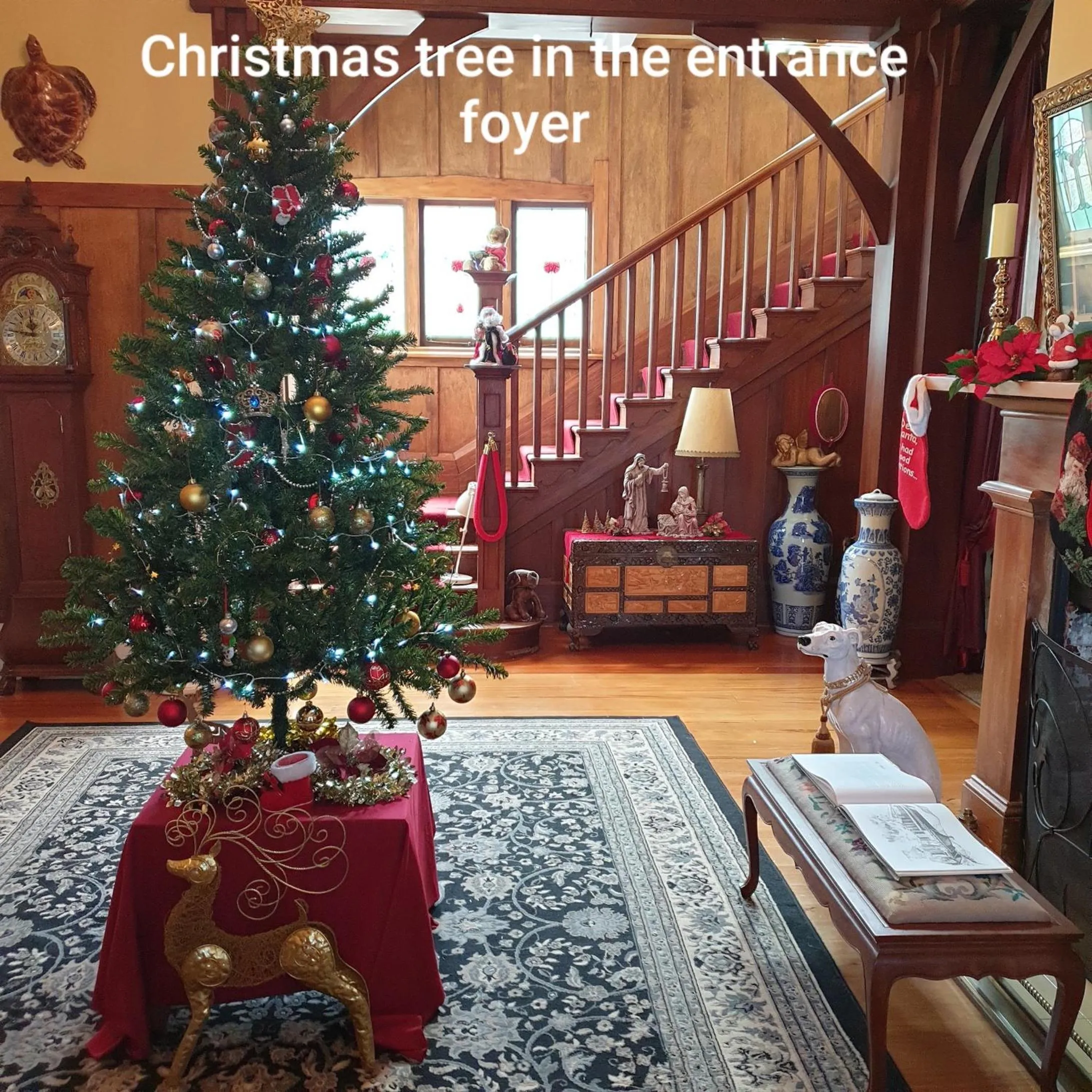 Lobby or reception in Ashcott Homestead Bed & Breakfast