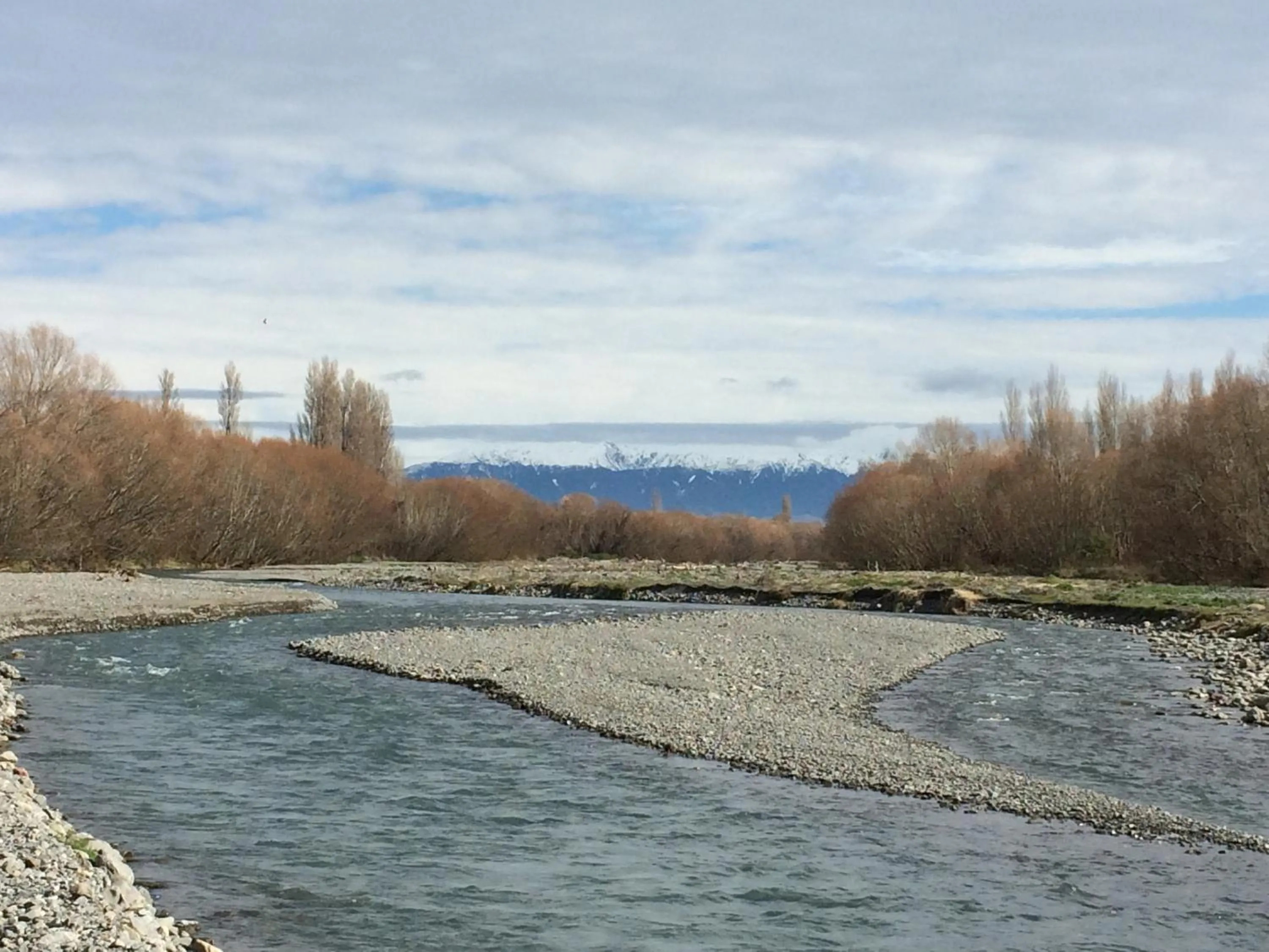 Natural landscape in Ashcott Homestead Bed & Breakfast