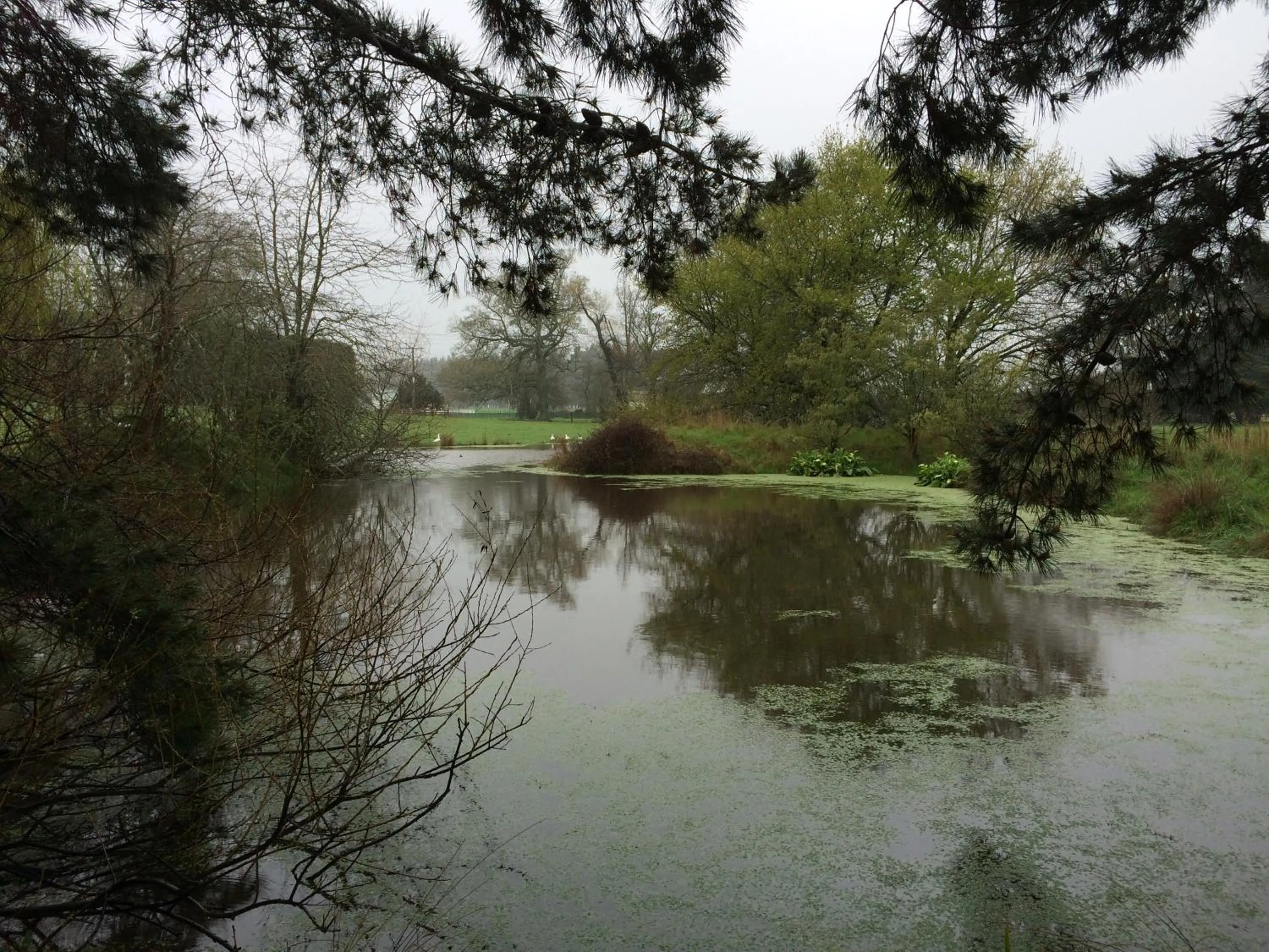 Autumn in Ashcott Homestead Bed & Breakfast