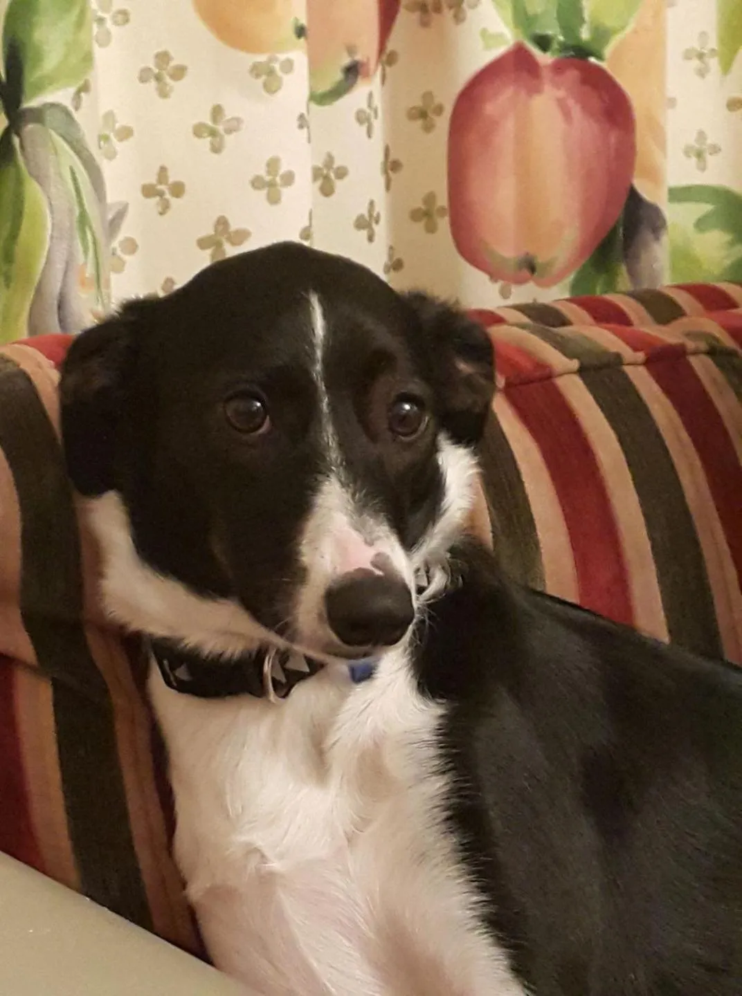 Ashcott Homestead Bed & Breakfast