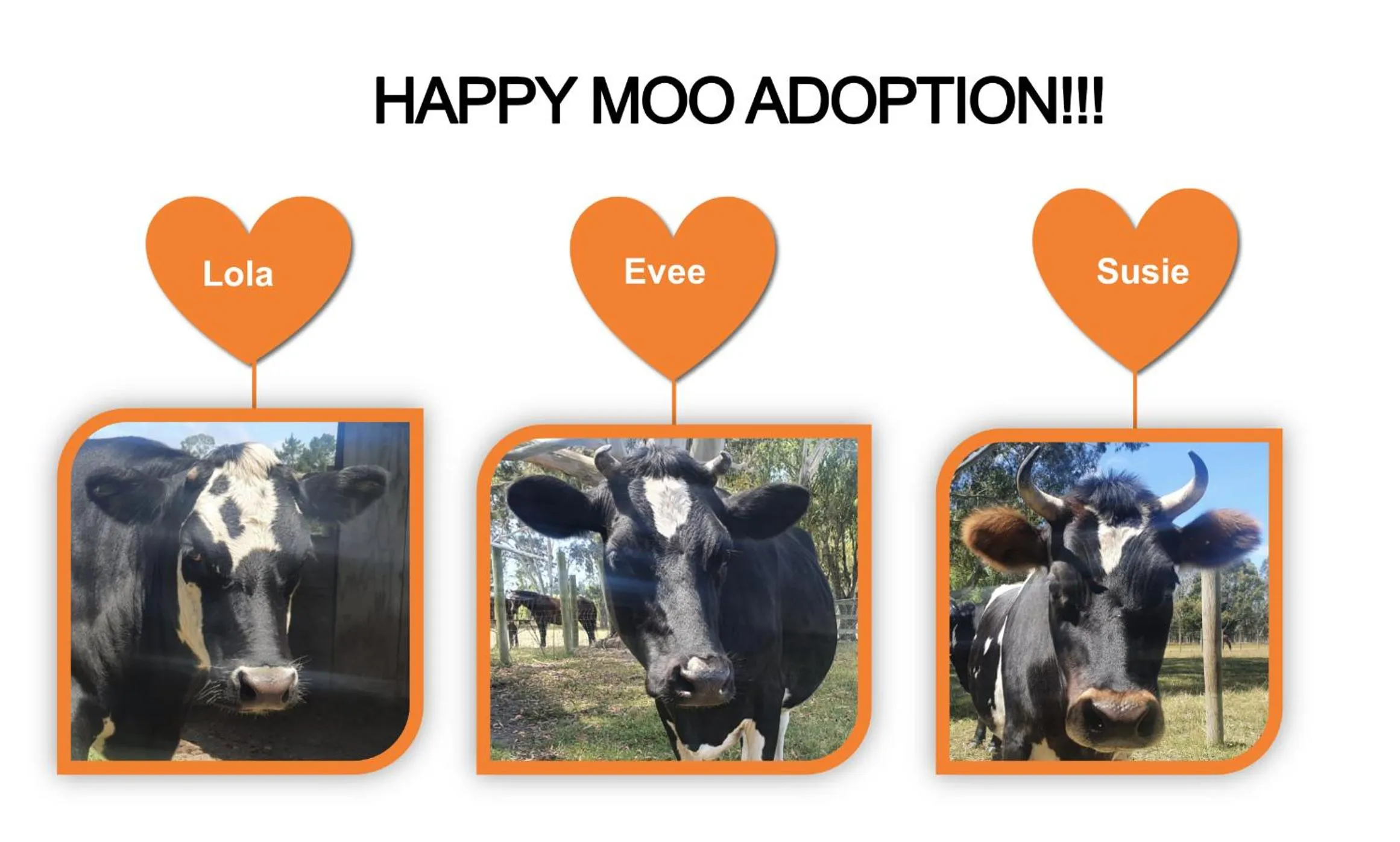 Ashcott Homestead Bed & Breakfast