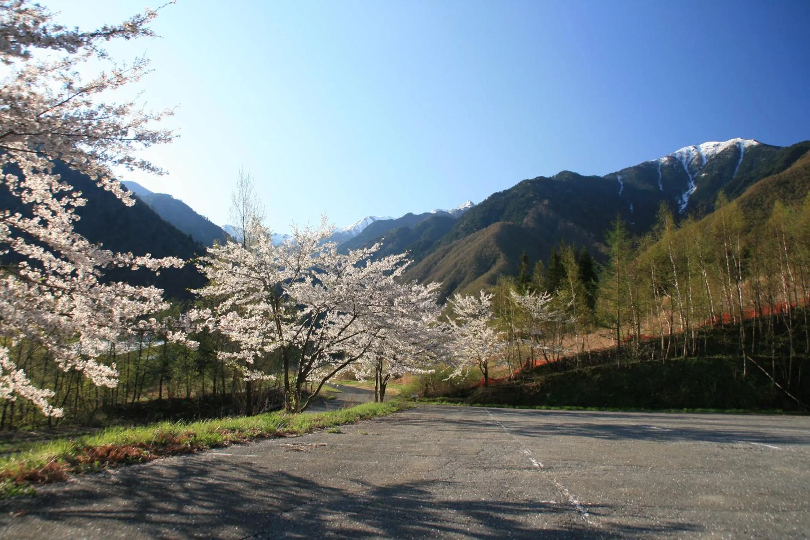 A Small Nature Hotel Hilltop 高原の小さなホテル ヒルトップ