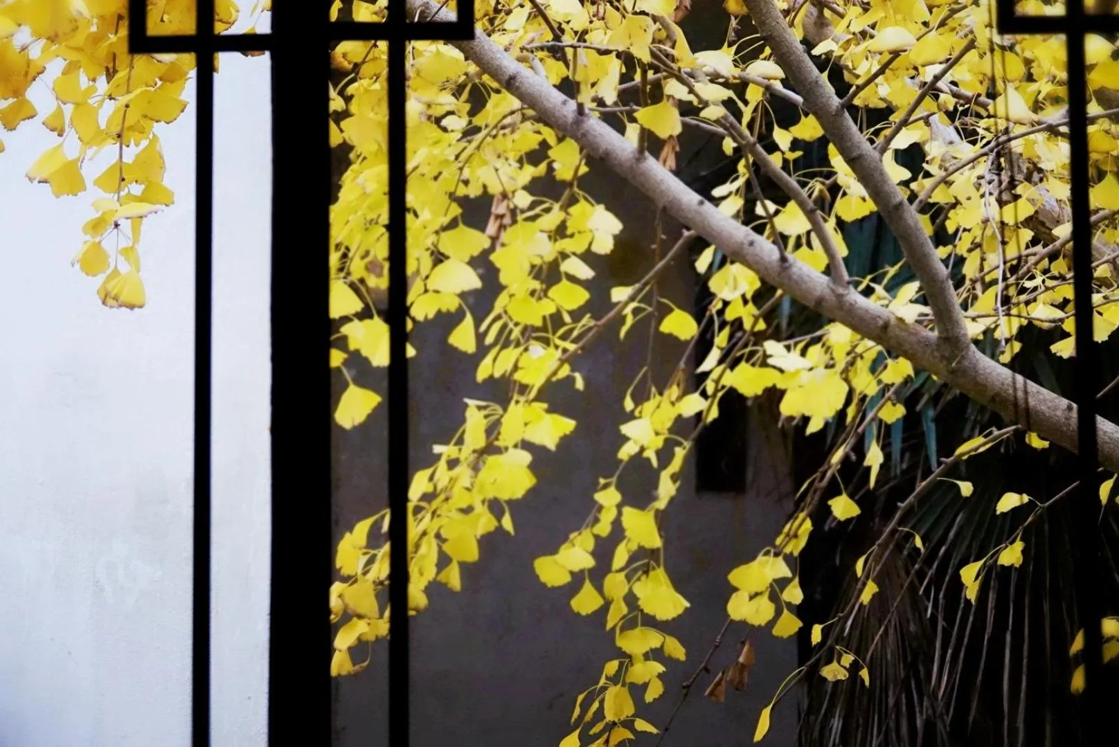 Inner courtyard view in Pure-Land Villa
