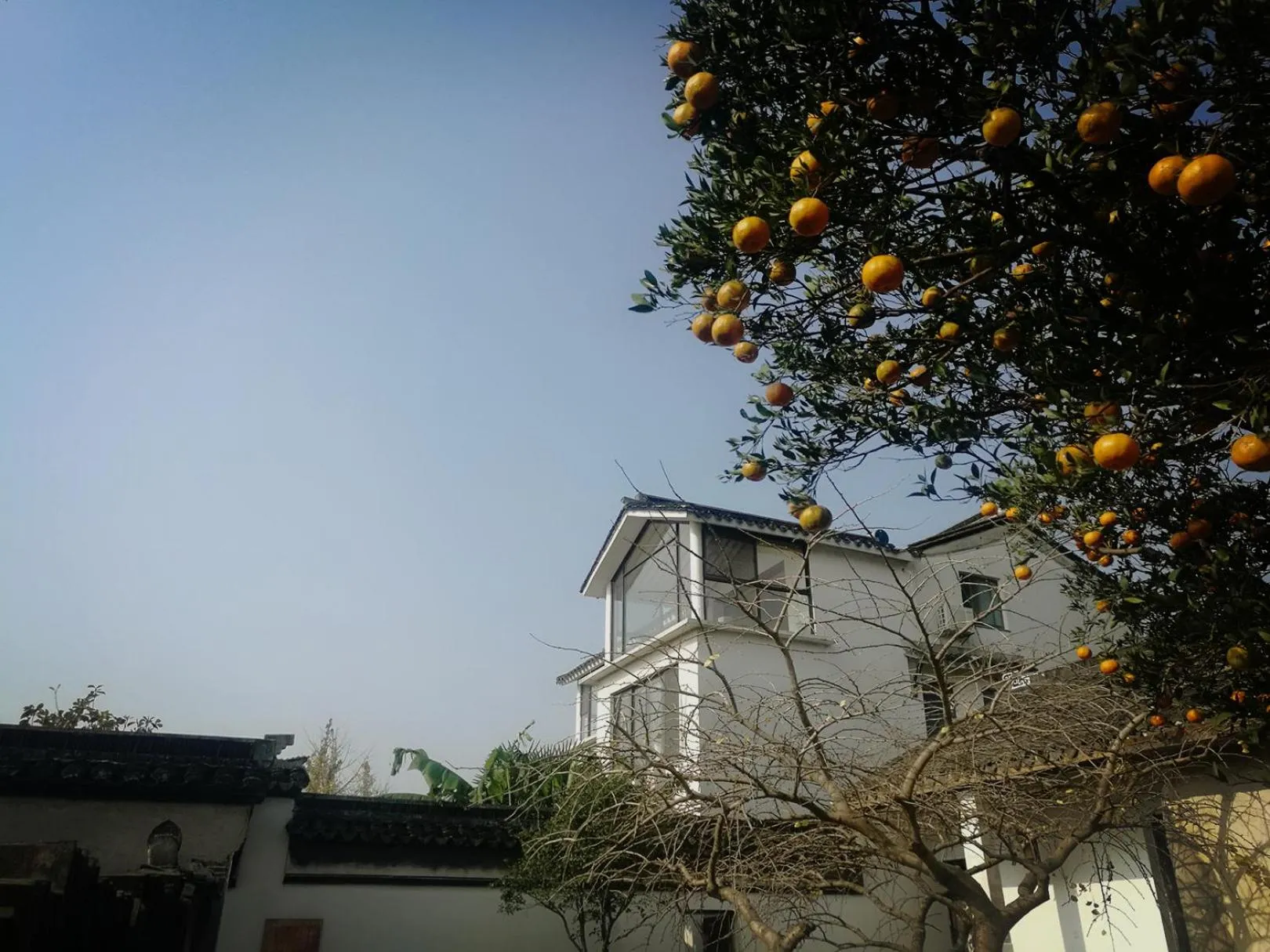 Facade/entrance in Pure-Land Villa