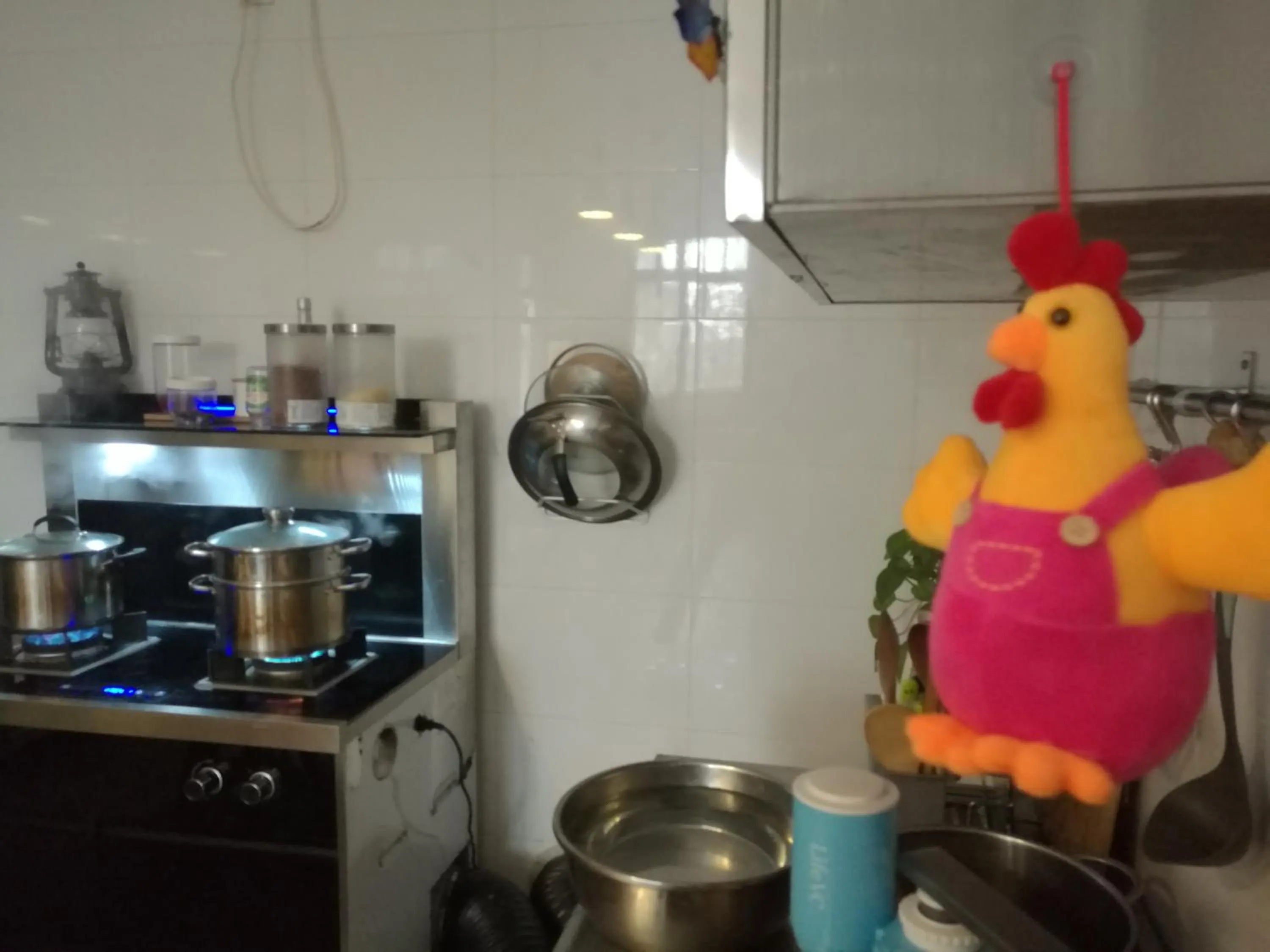 Kitchen or kitchenette in Pure-Land Villa