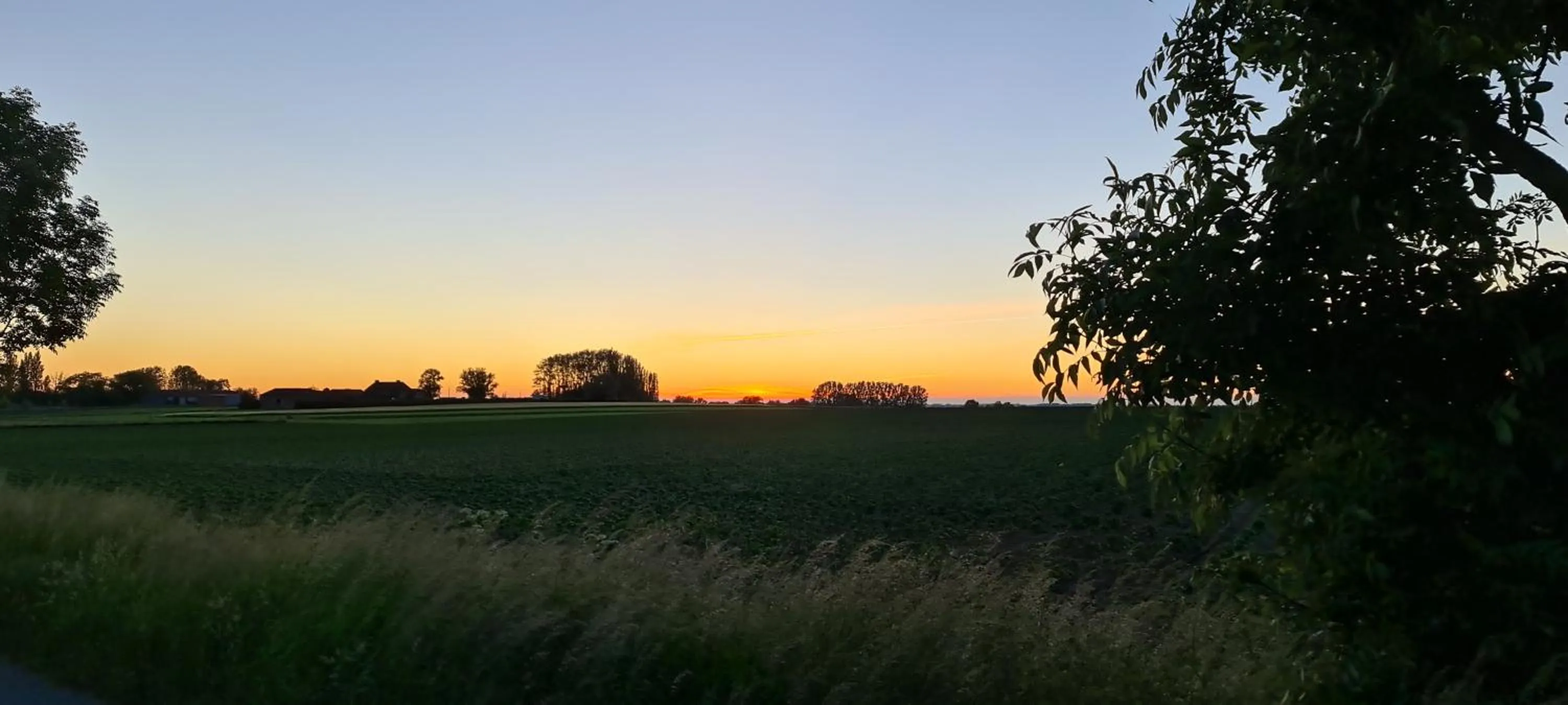 View (from property/room) in Hotel Callecanes