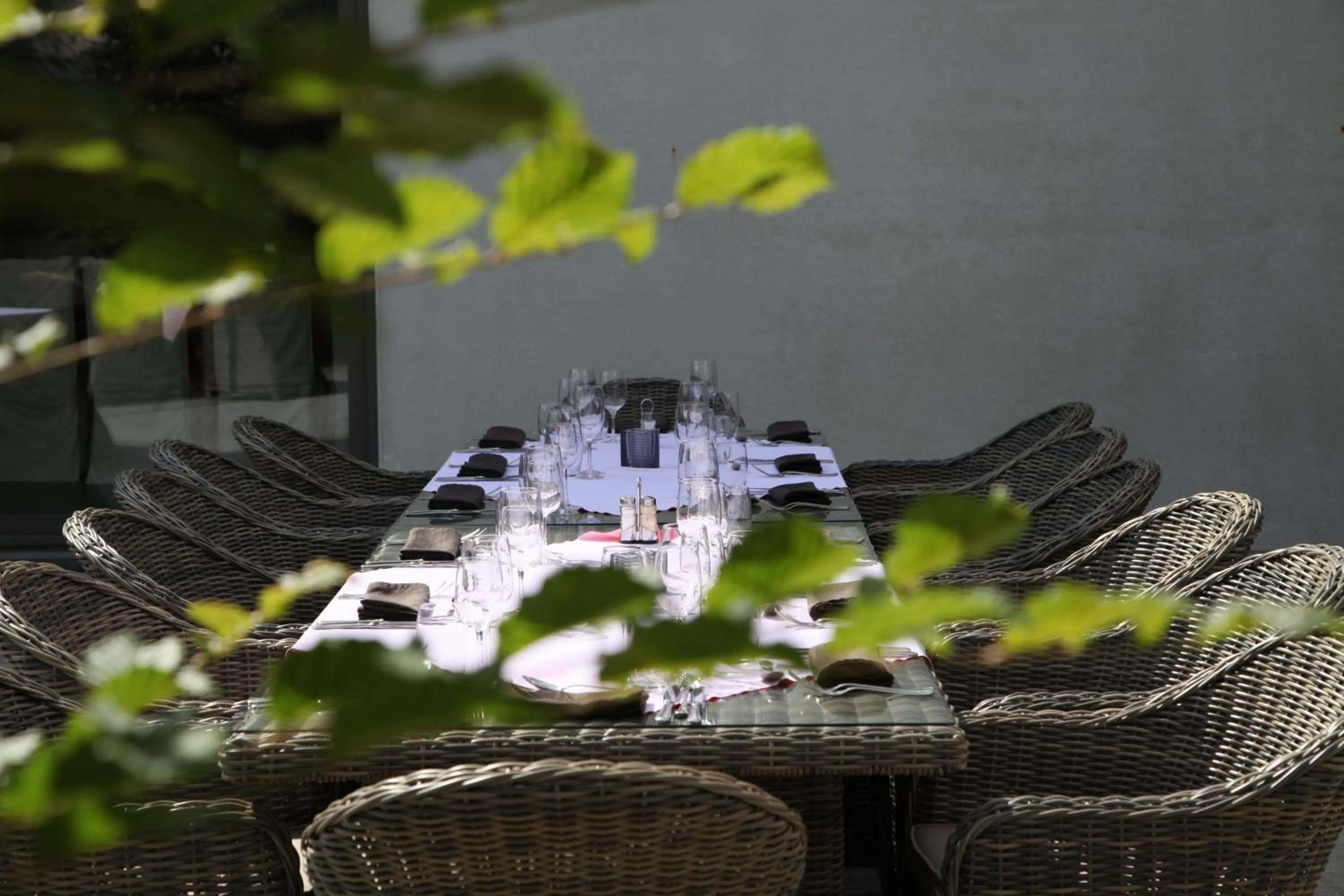 Garden in Hotel Callecanes