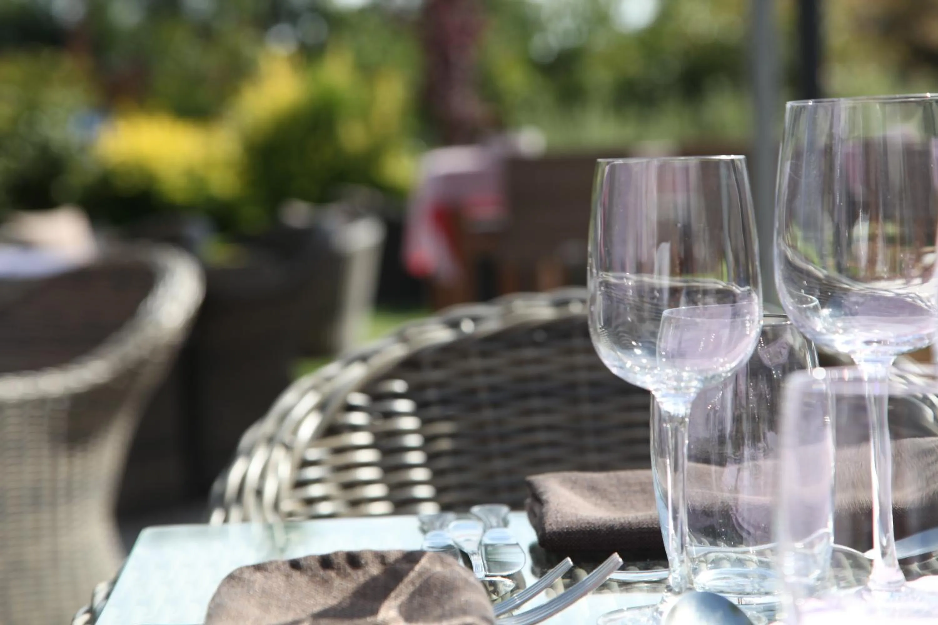 Garden in Hotel Callecanes
