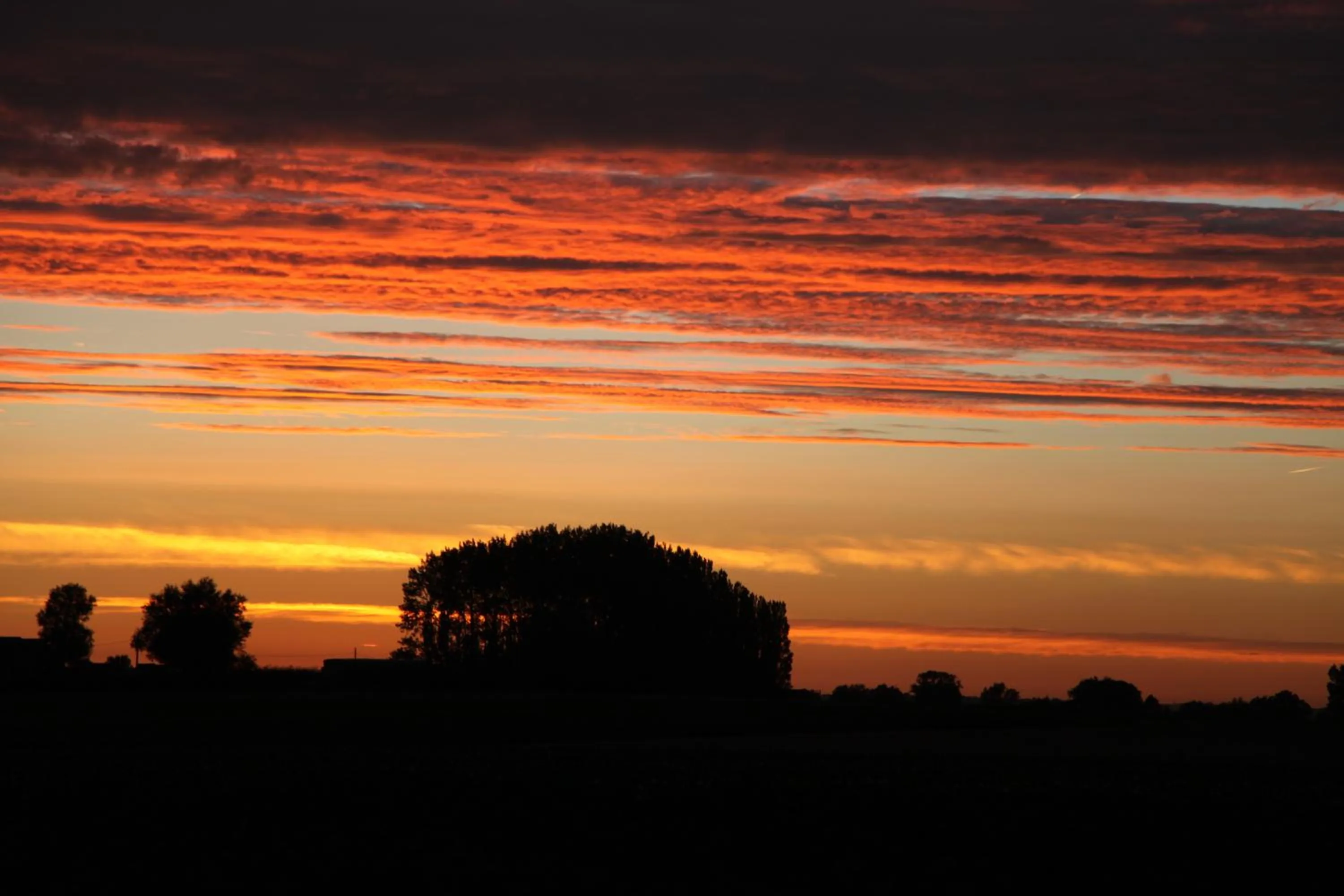 Natural landscape in Hotel Callecanes