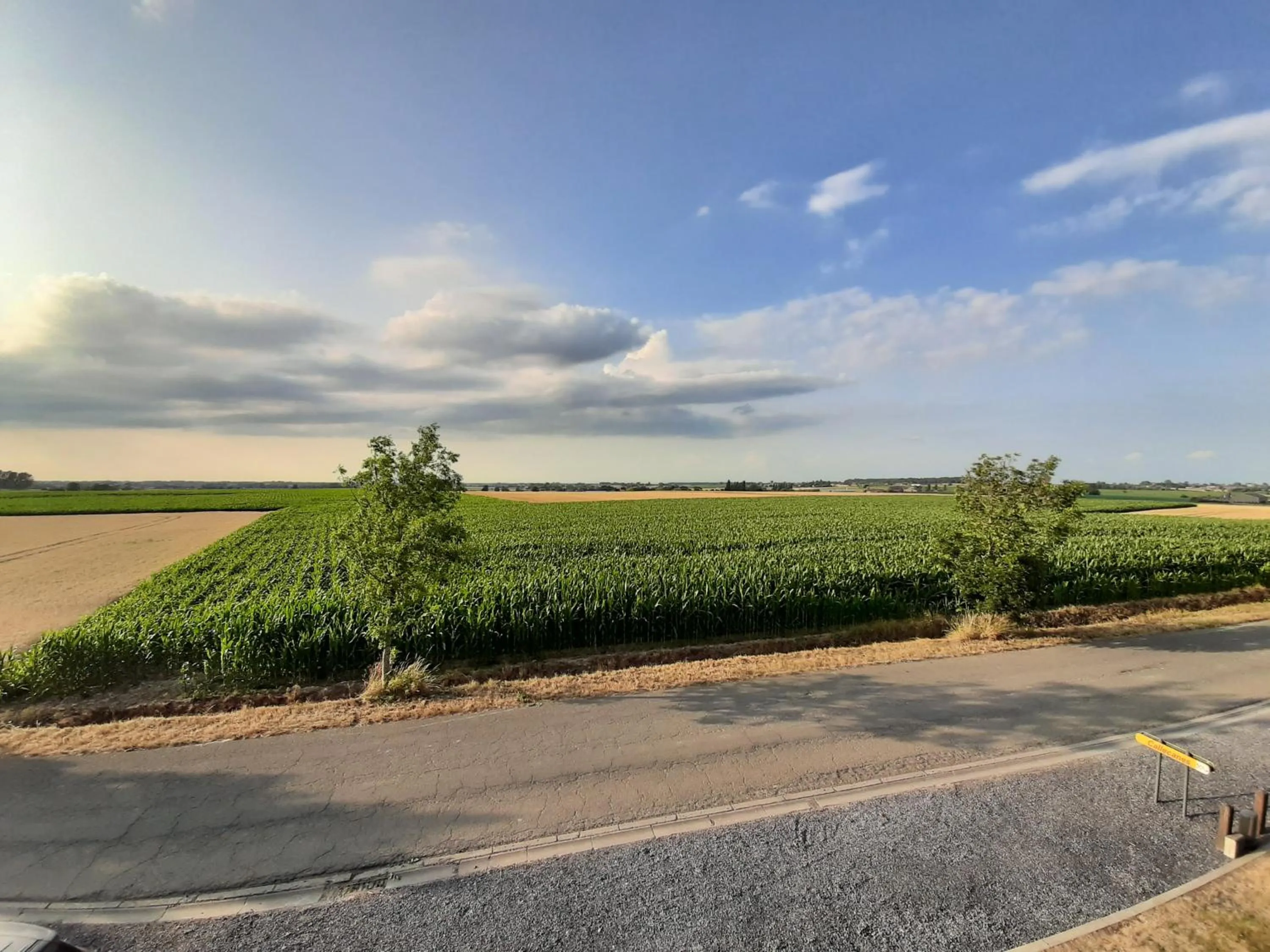 Natural landscape in Hotel Callecanes