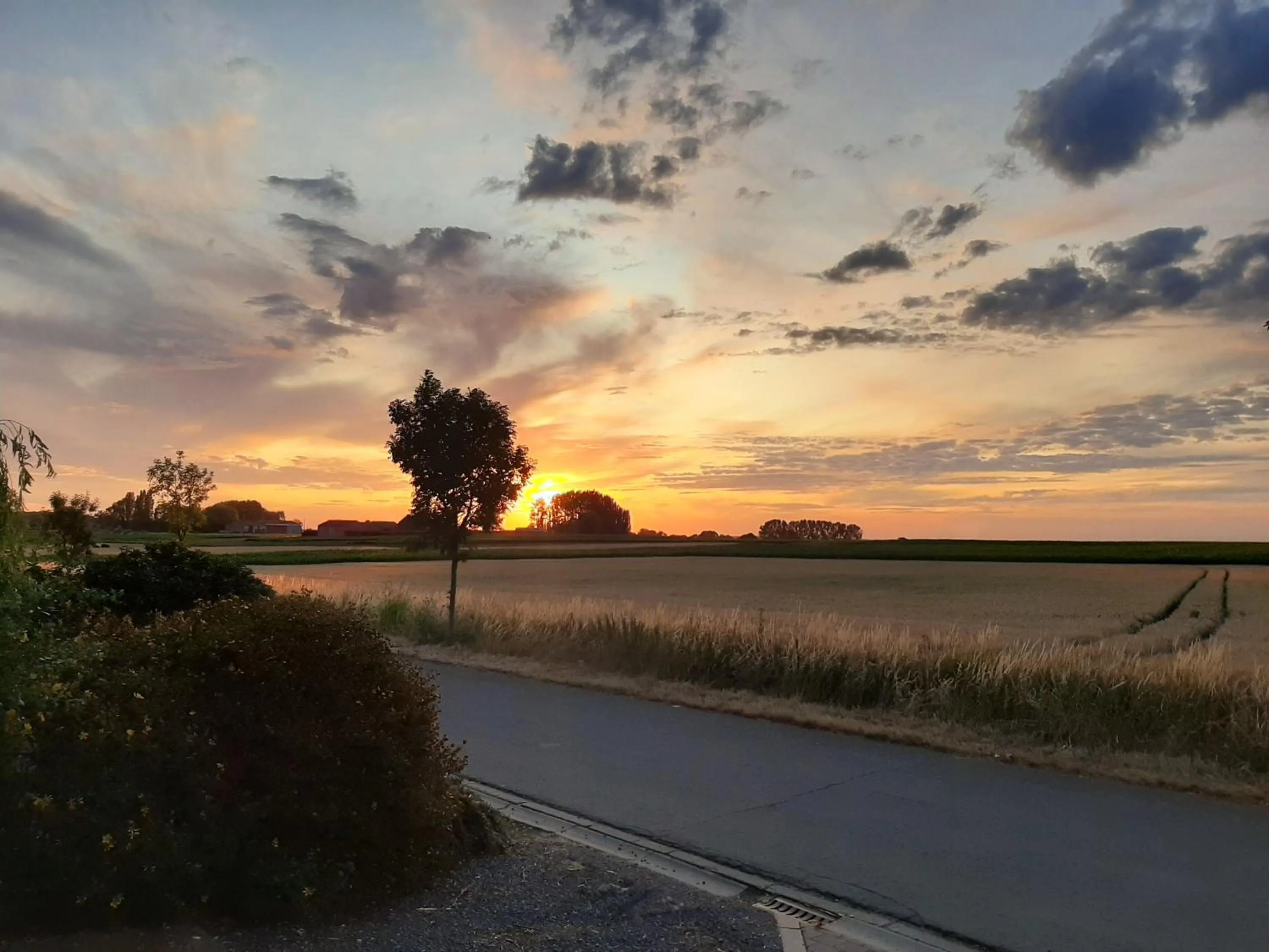 Neighbourhood in Hotel Callecanes