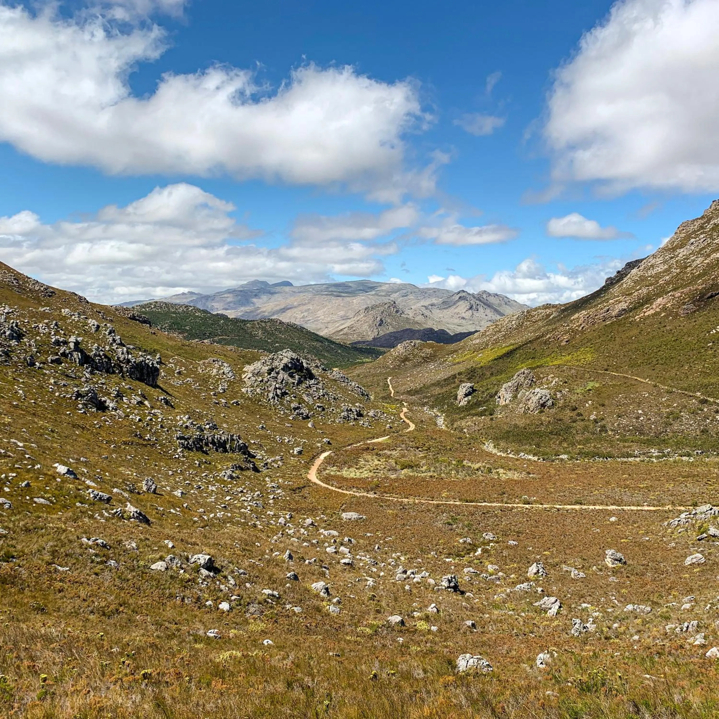 Natural landscape in Trail's End