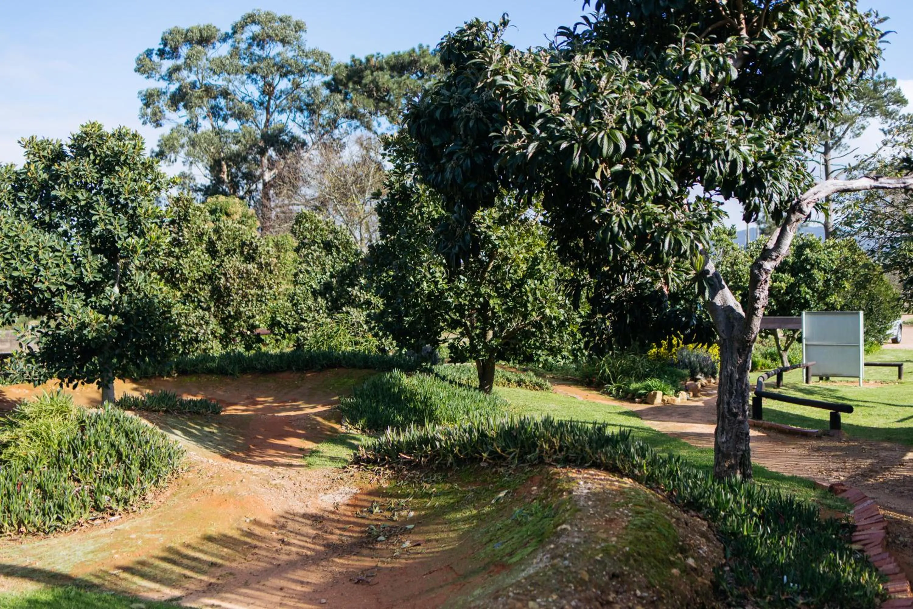 Garden in Trail's End