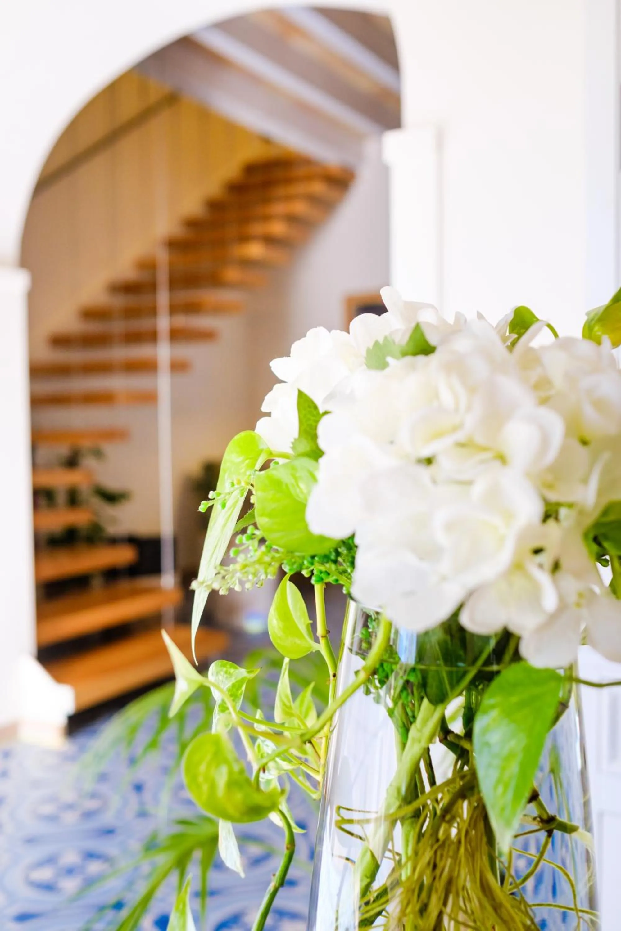 Es Corte Vell - Adults Only