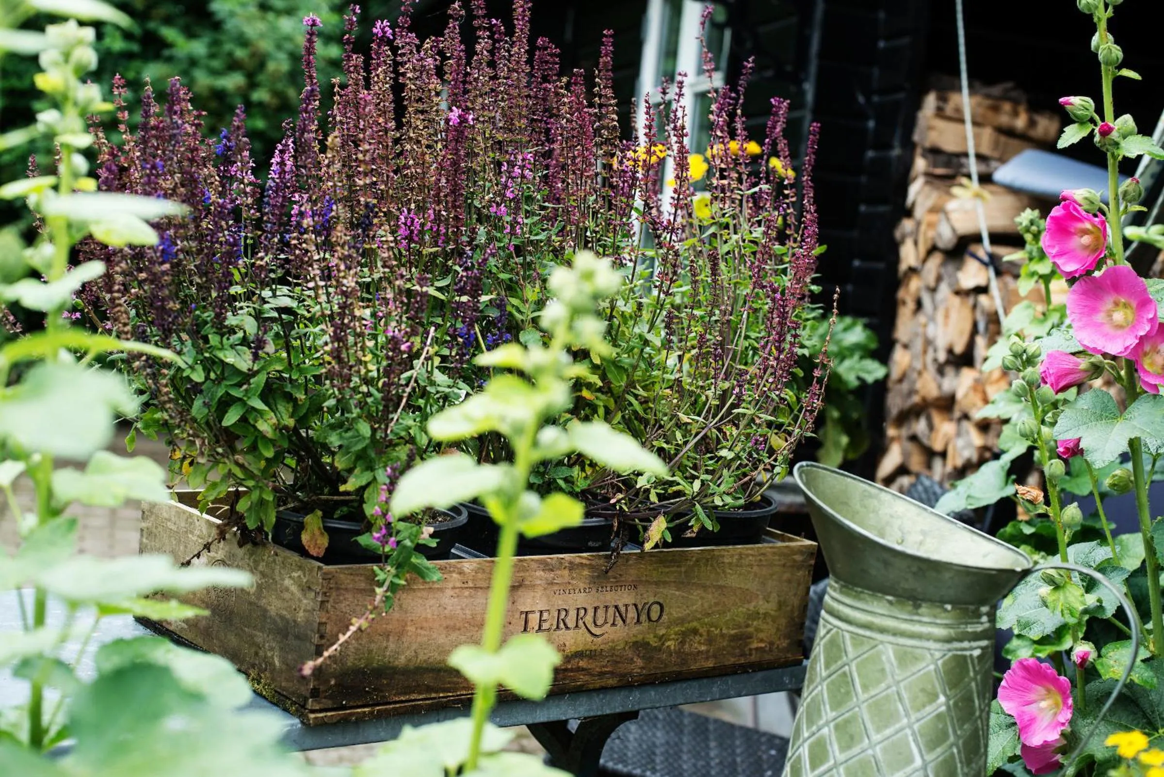 Grundfør bed and breakfast