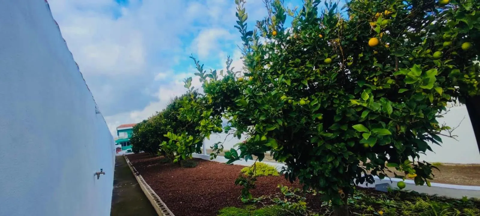 Garden in Finca Rural La Casa Verde