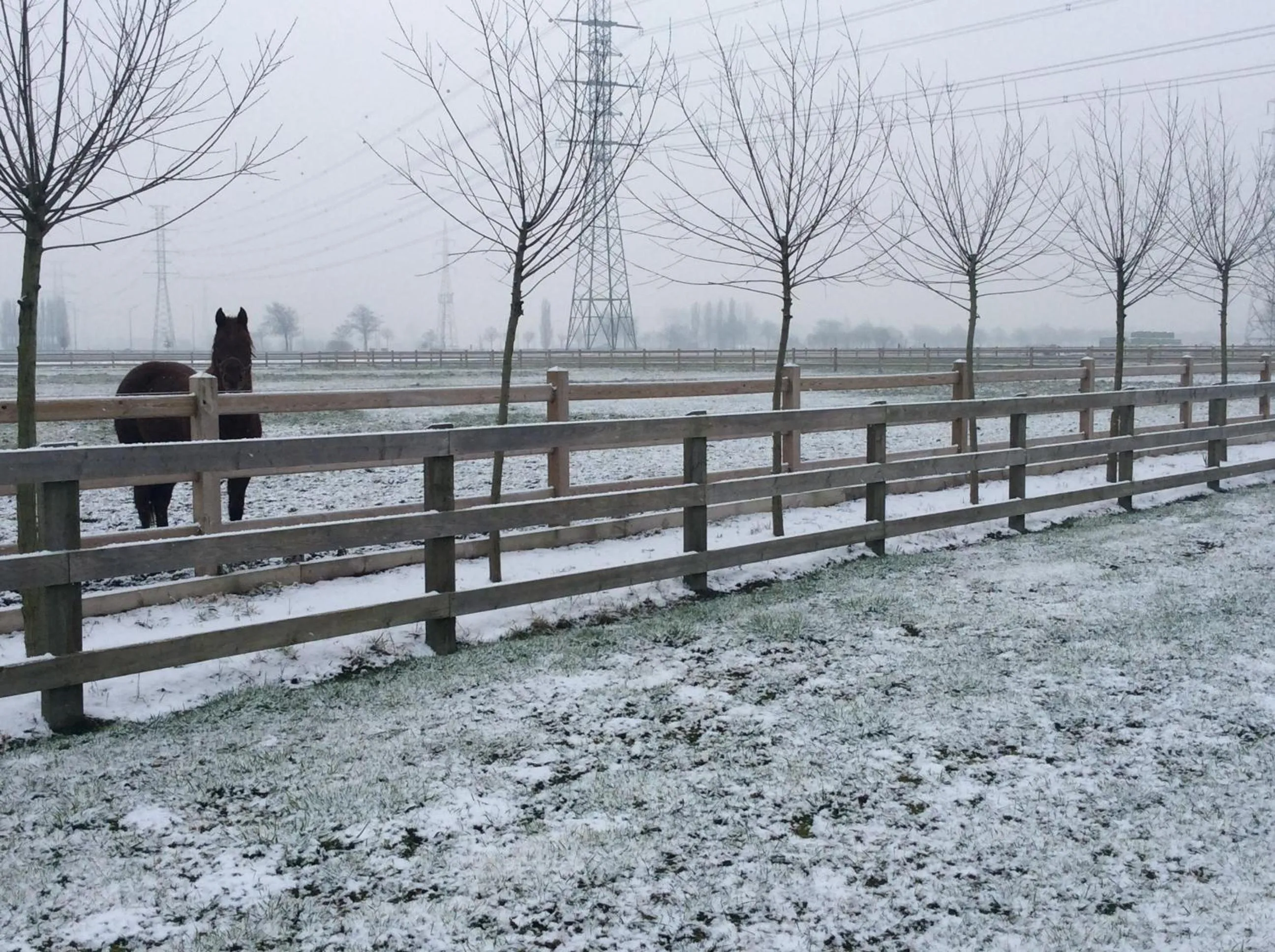 Property building in B&B Quarterhouse