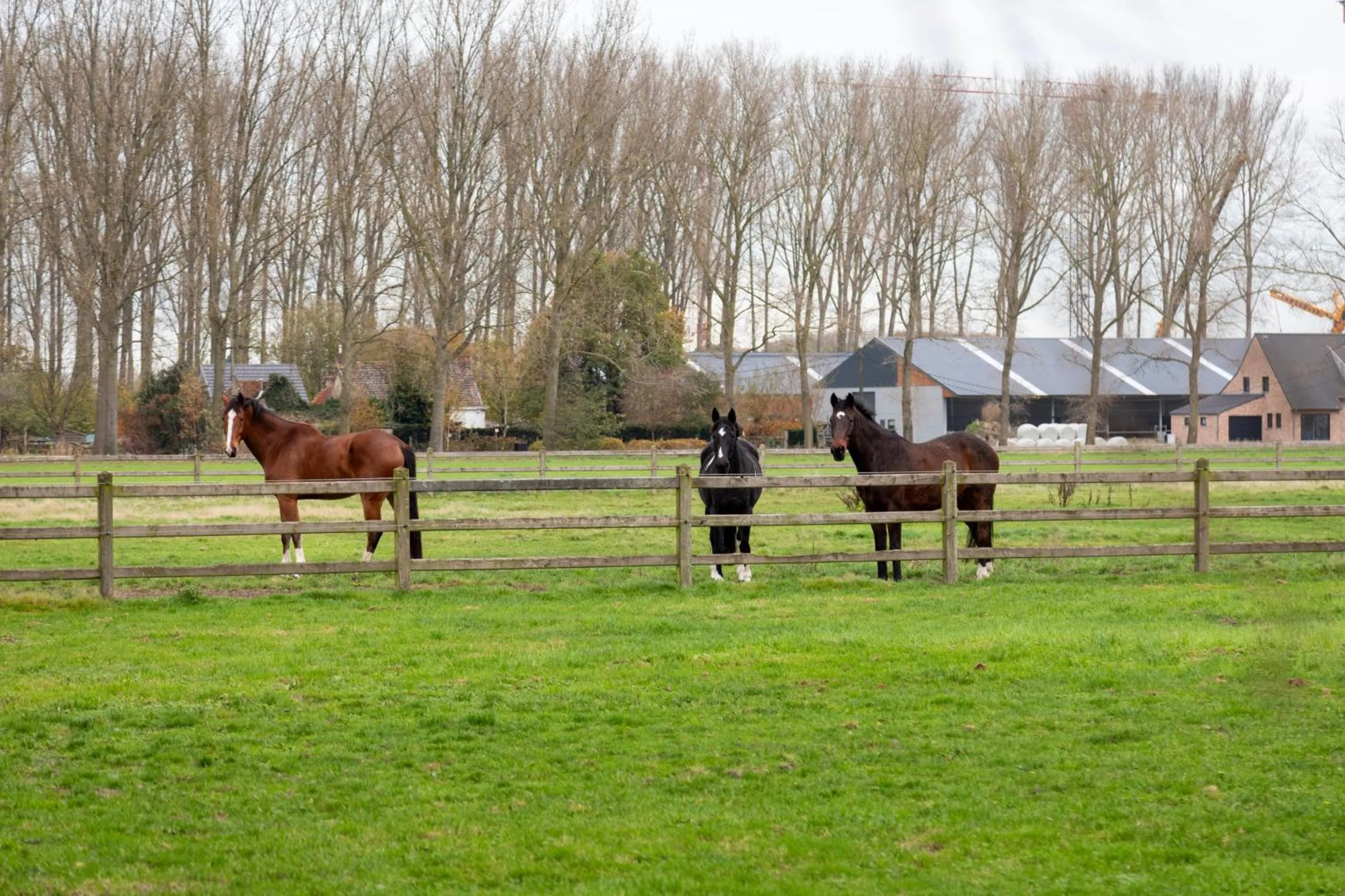 B&B De Leestjespolder