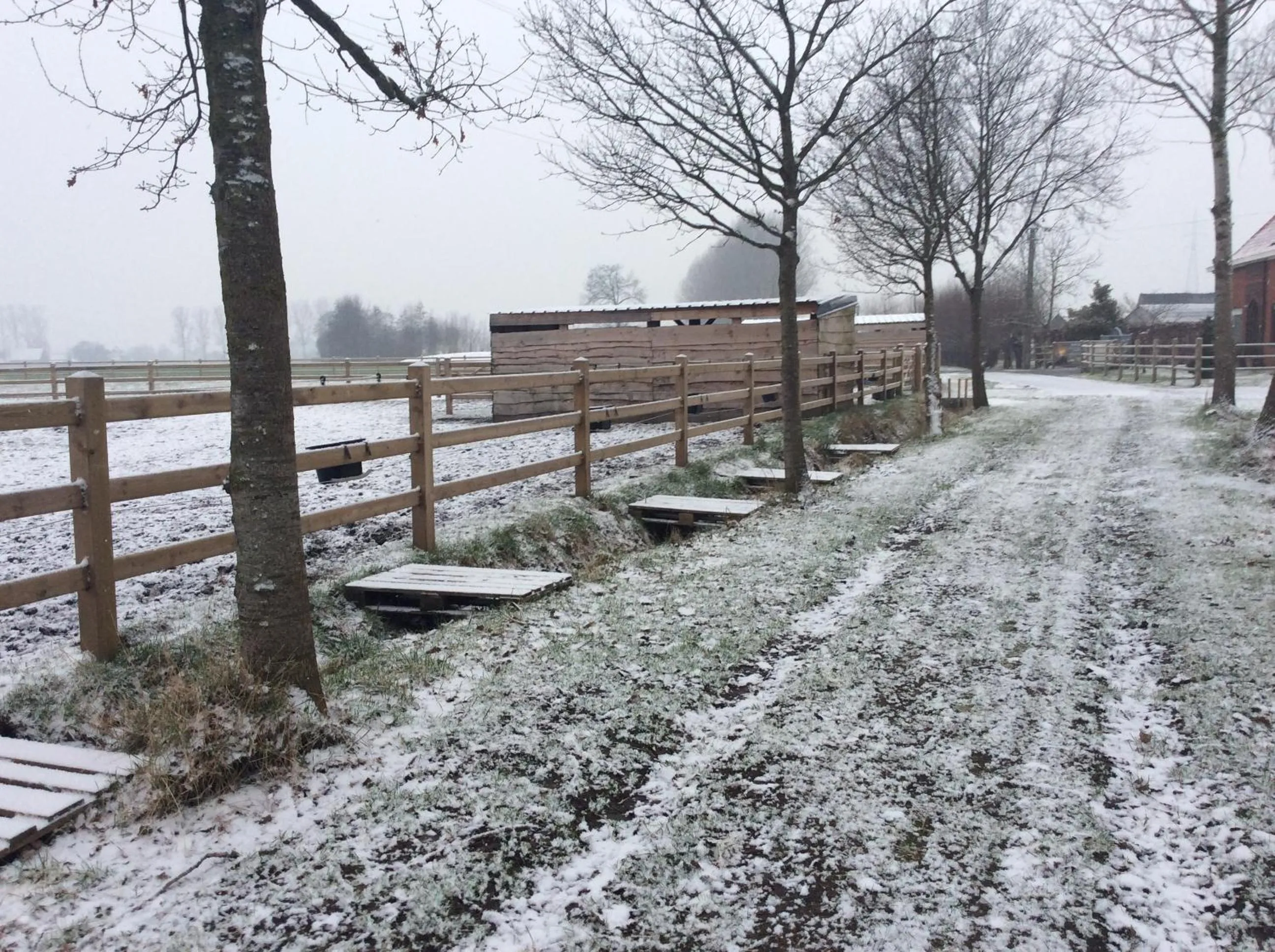 Property building in B&B Quarterhouse