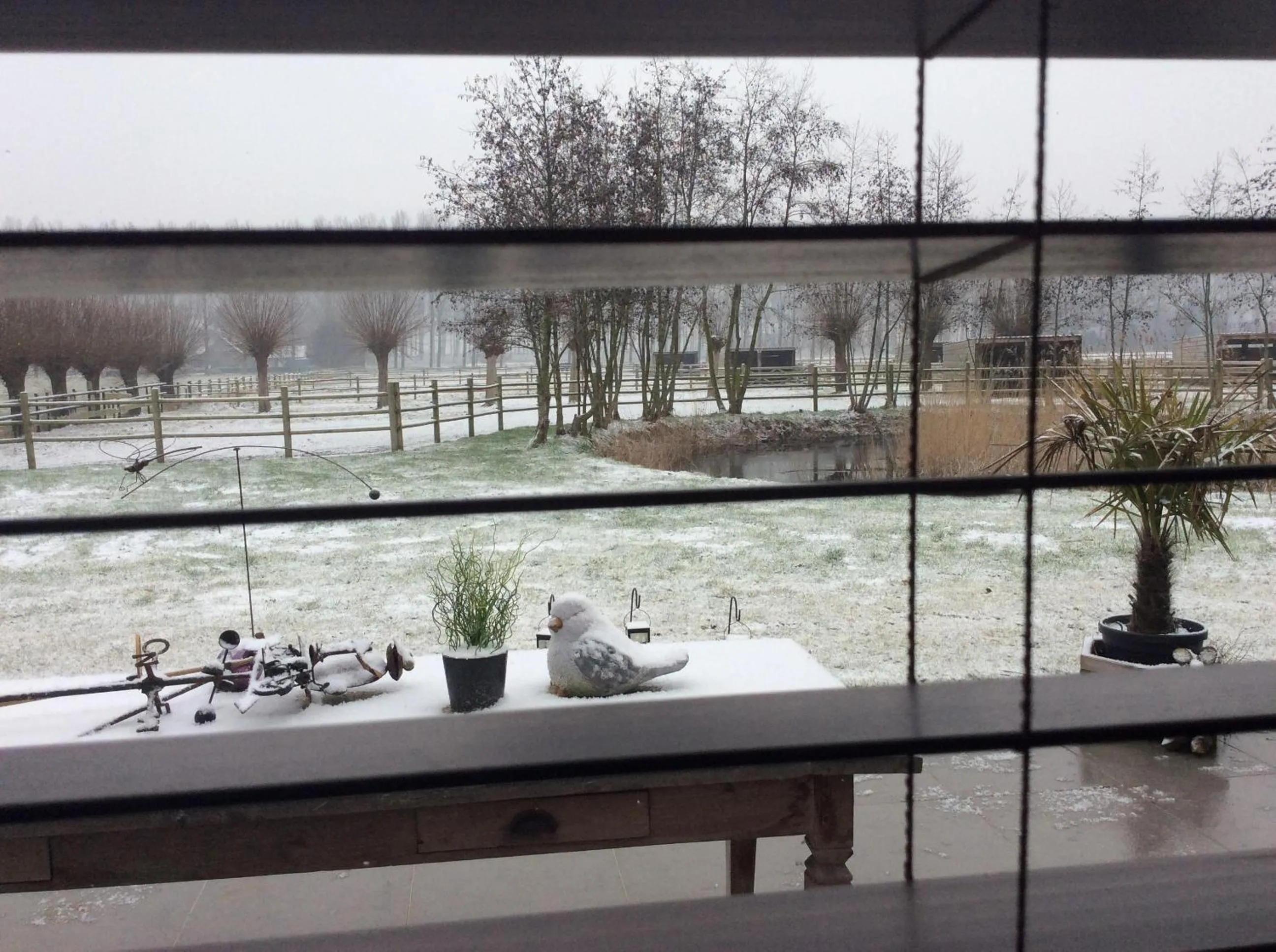 Property building in B&B Quarterhouse