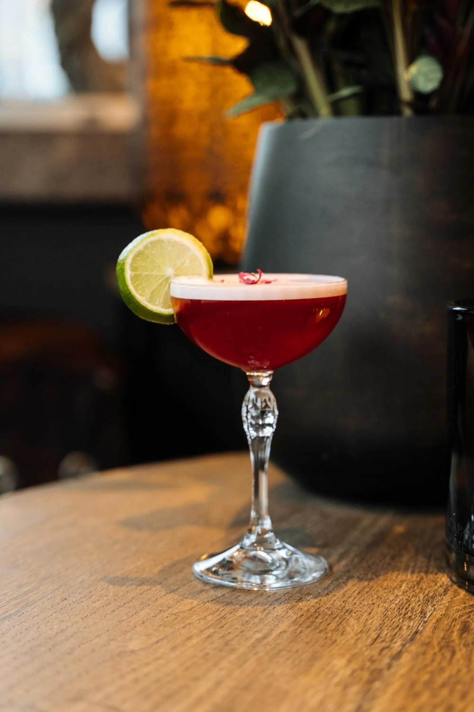 Lounge or bar in Cosmopolite Hotel Nieuwpoort-Bad