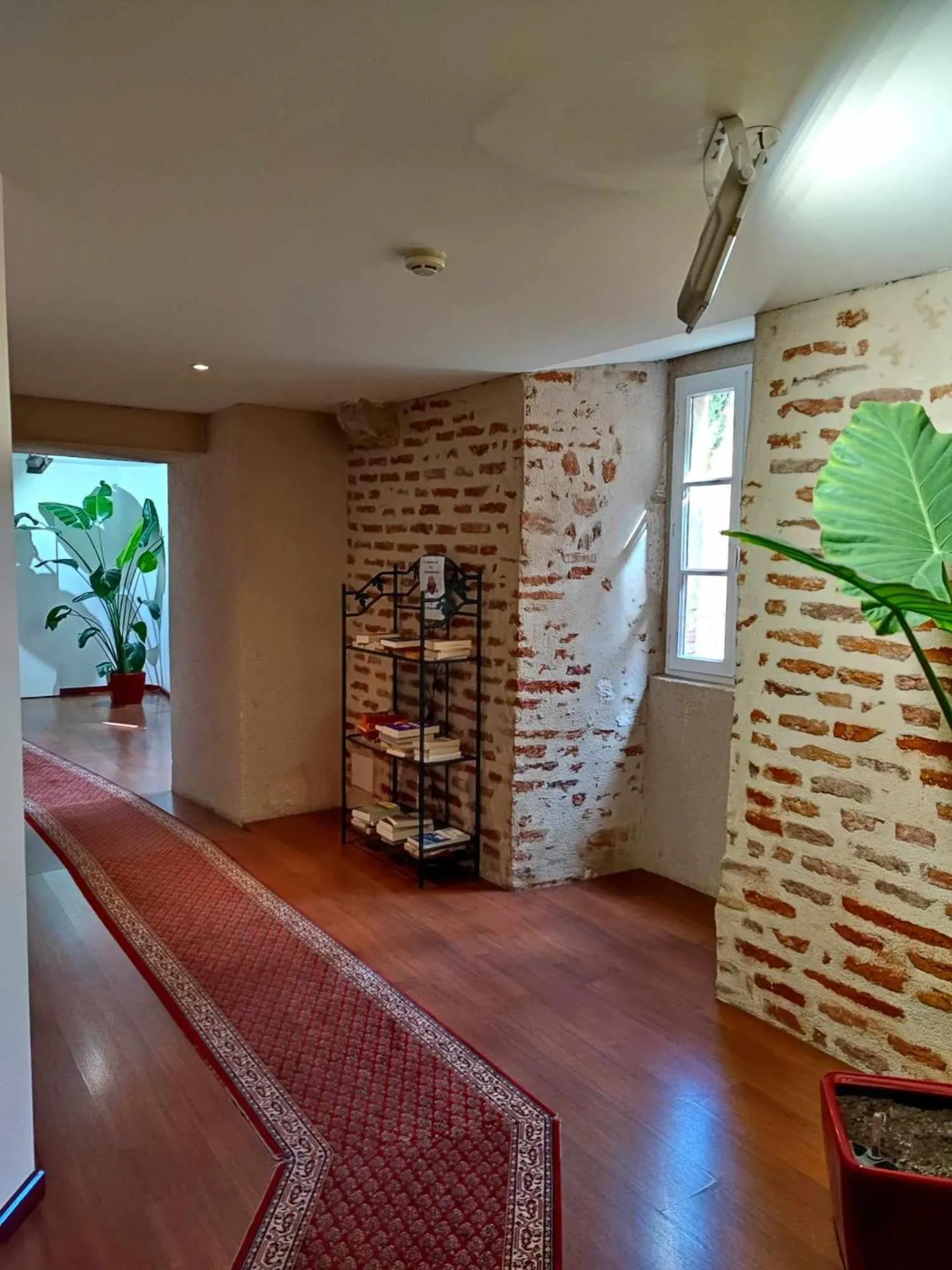 Property building in Hôtel Jean XXII