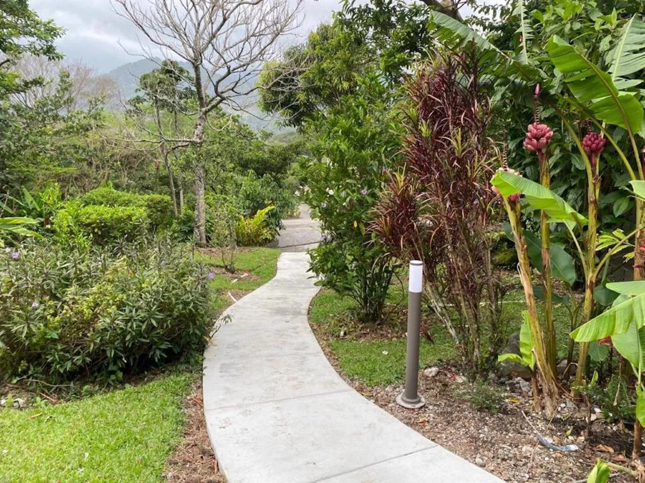 Facade/entrance in Coffee Estate Inn