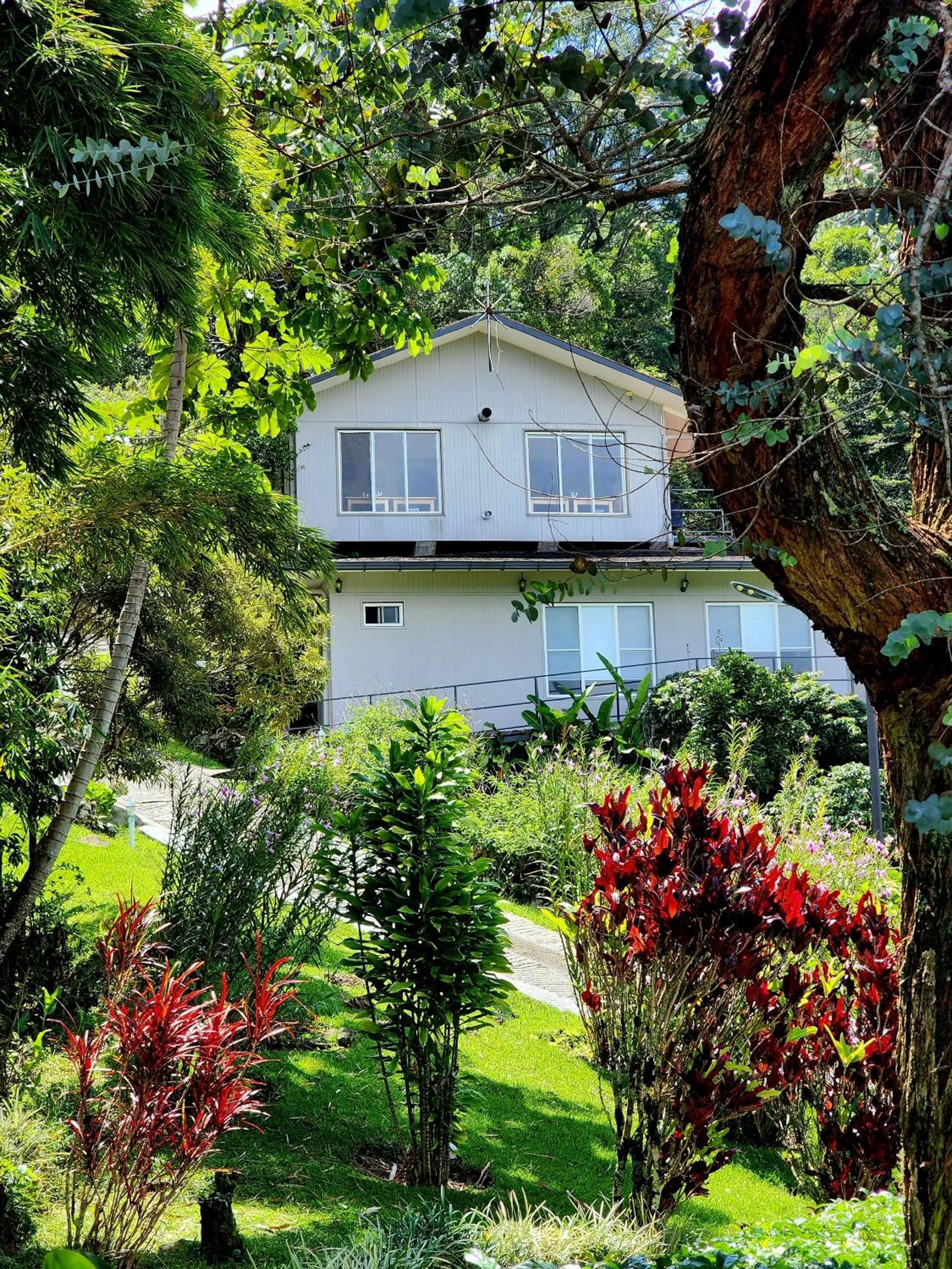 Garden view in Coffee Estate Inn